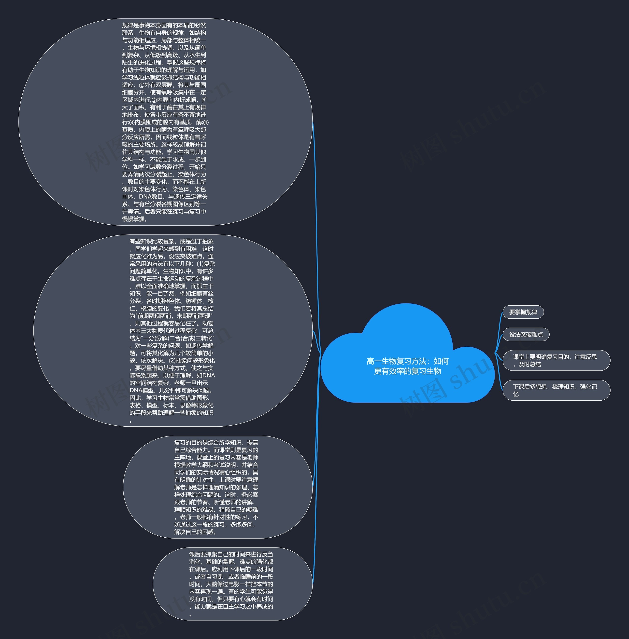 高一生物复习方法：如何更有效率的复习生物