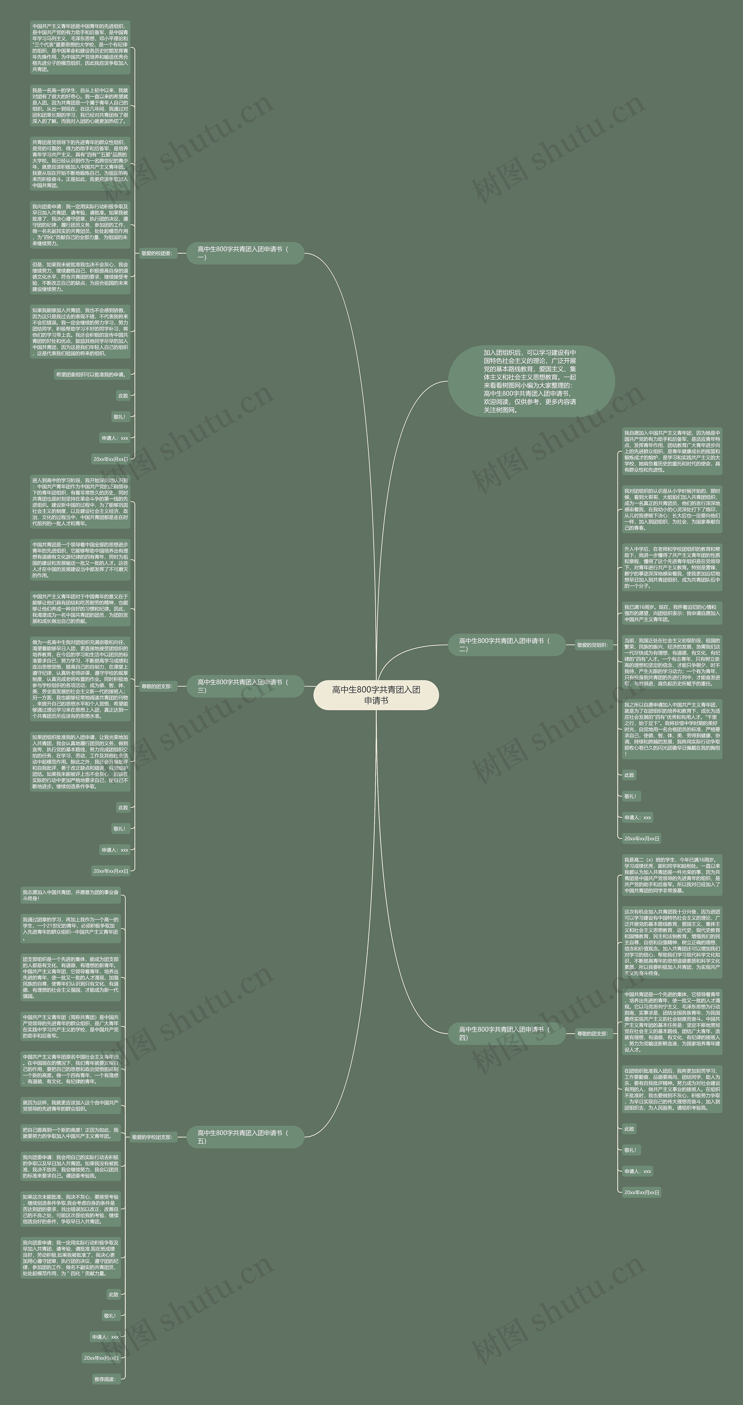 高中生800字共青团入团申请书思维导图