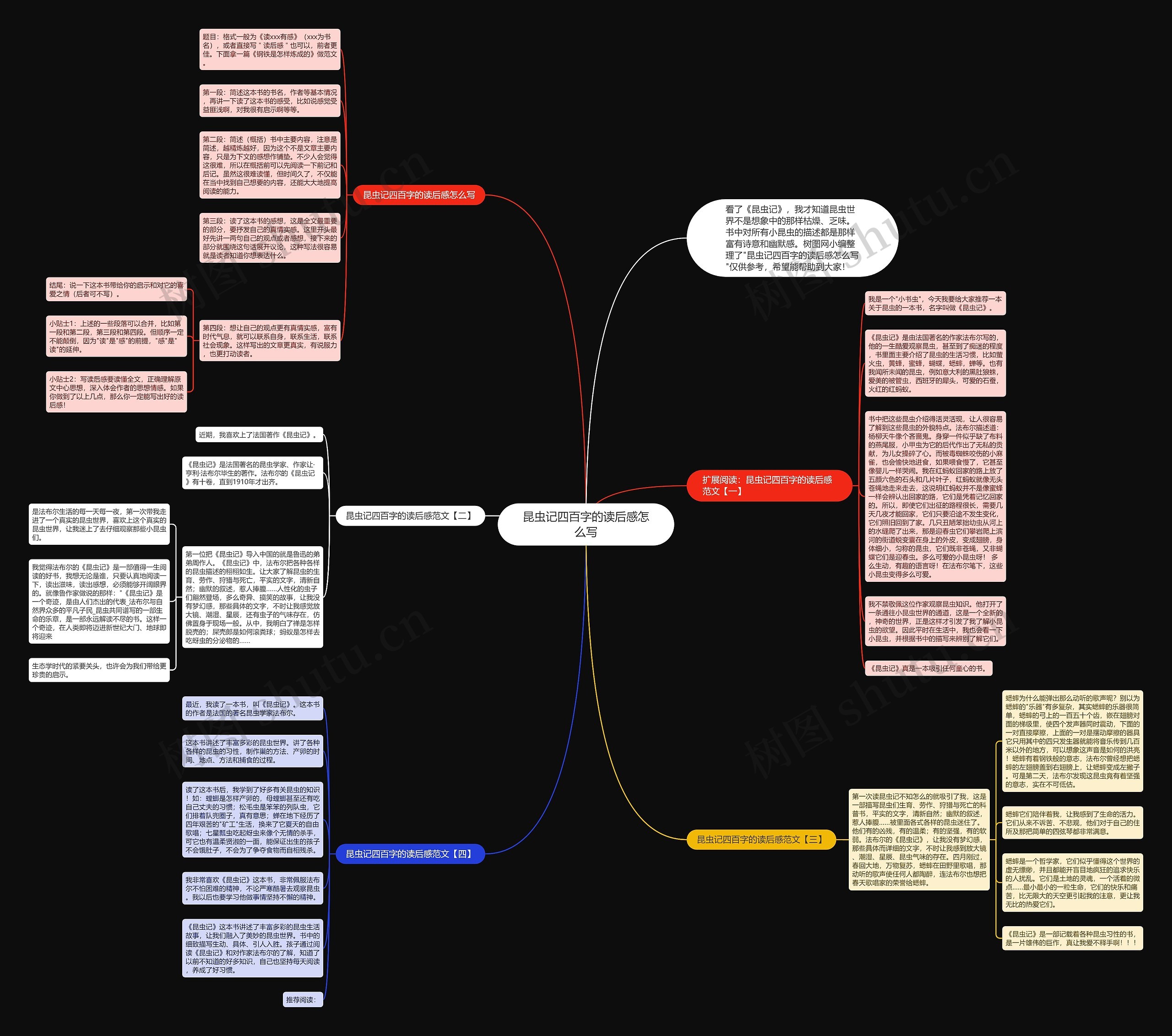 昆虫记四百字的读后感怎么写思维导图