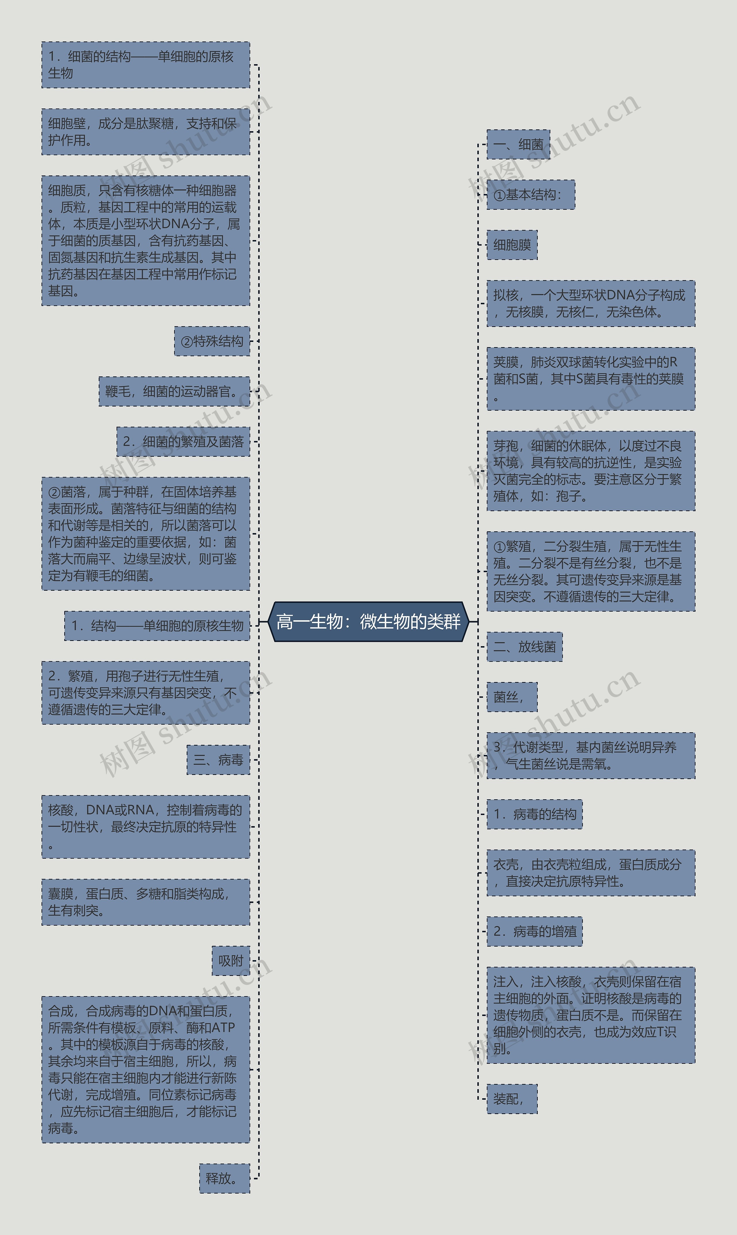 高一生物：微生物的类群