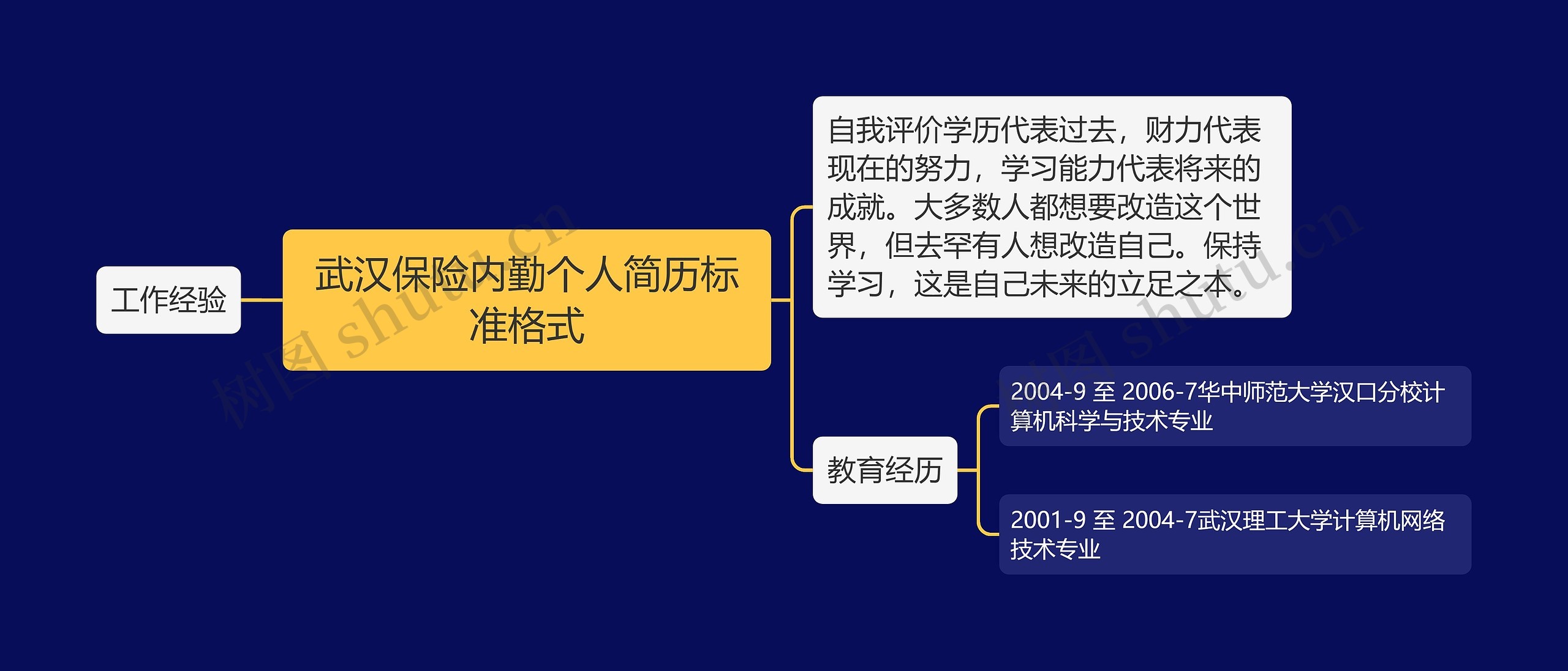 武汉保险内勤个人简历标准格式思维导图