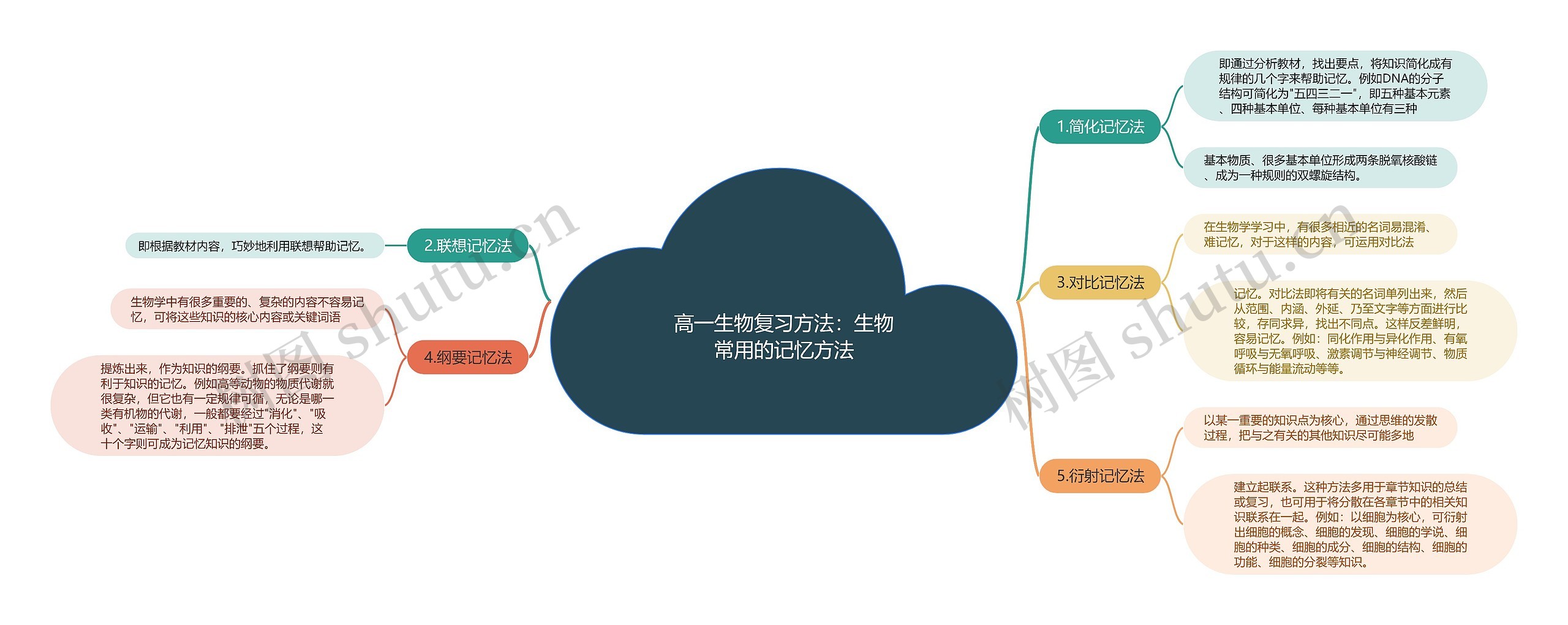 高一生物复习方法：生物常用的记忆方法思维导图