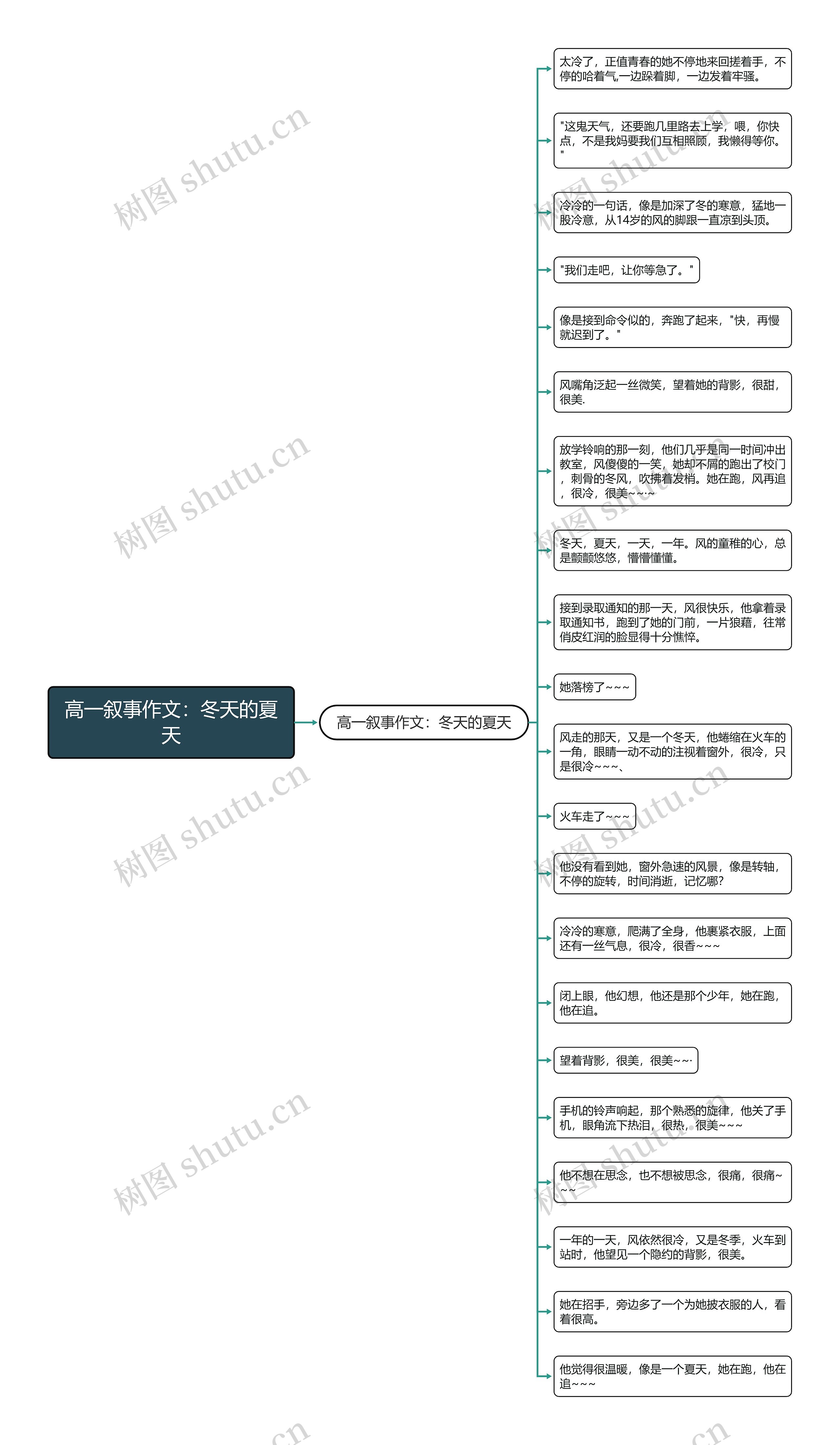 高一叙事作文：冬天的夏天思维导图