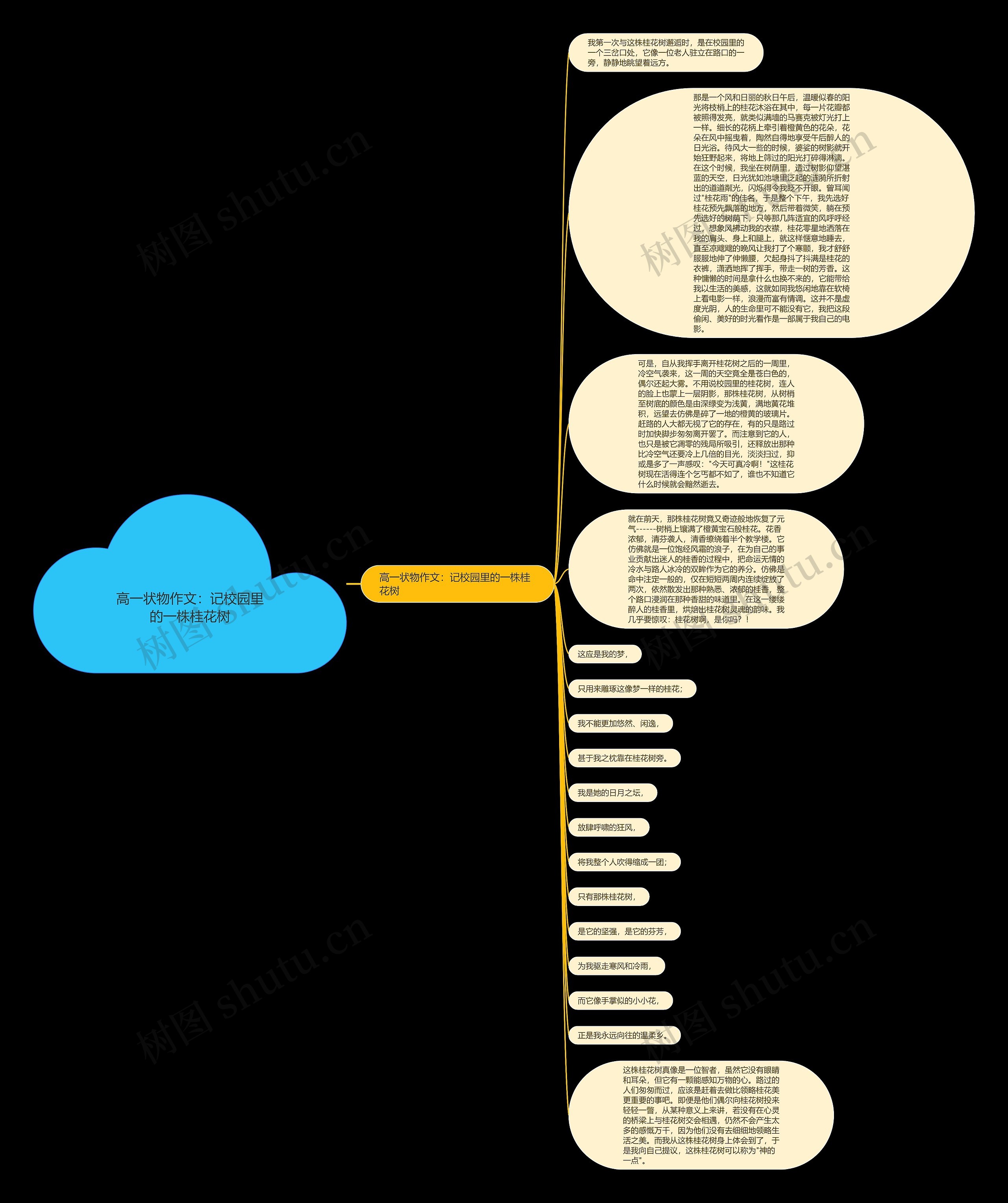 高一状物作文：记校园里的一株桂花树思维导图