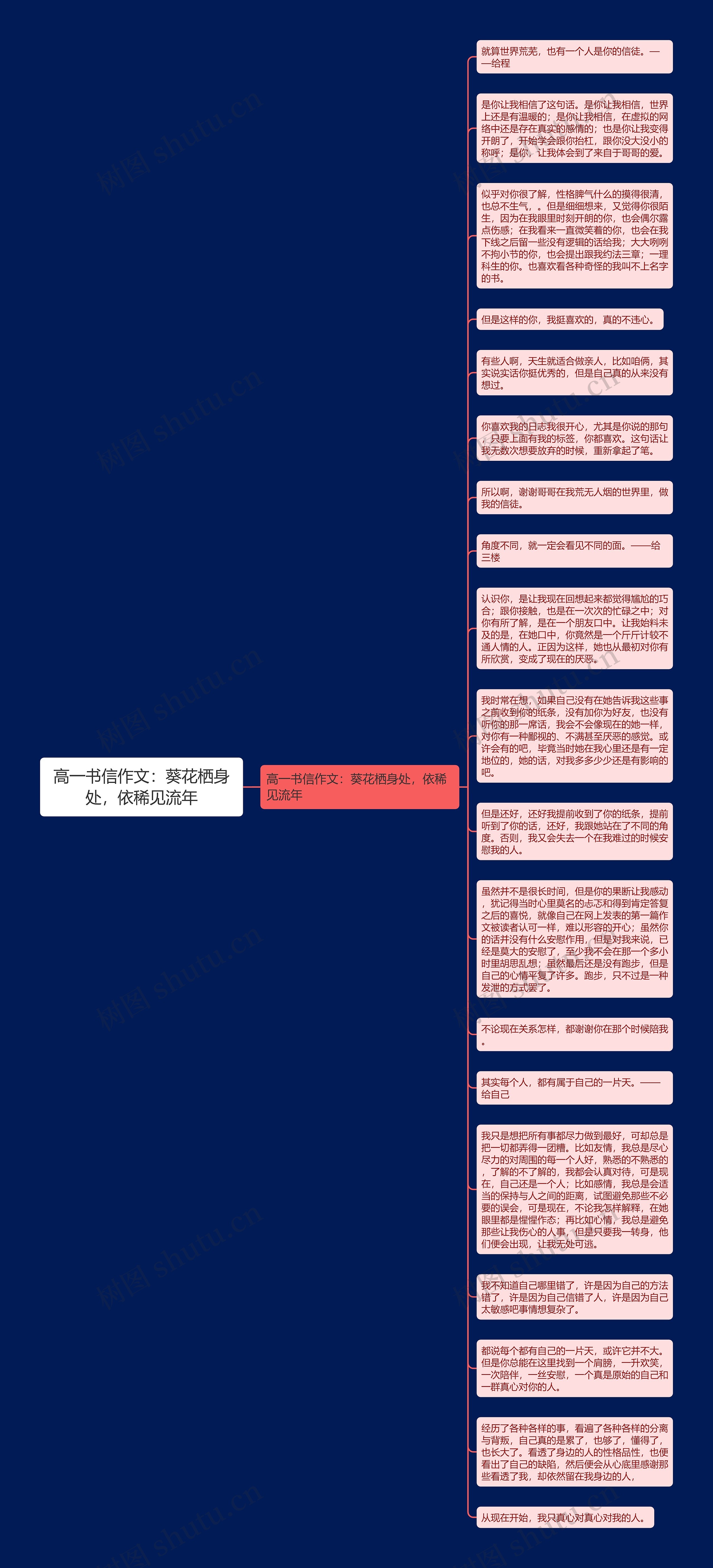 高一书信作文：葵花栖身处，依稀见流年思维导图