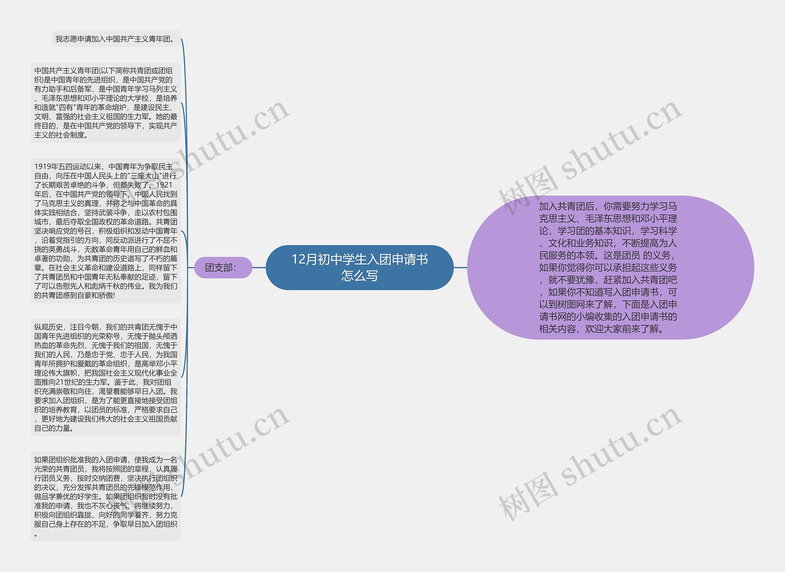 12月初中学生入团申请书怎么写思维导图