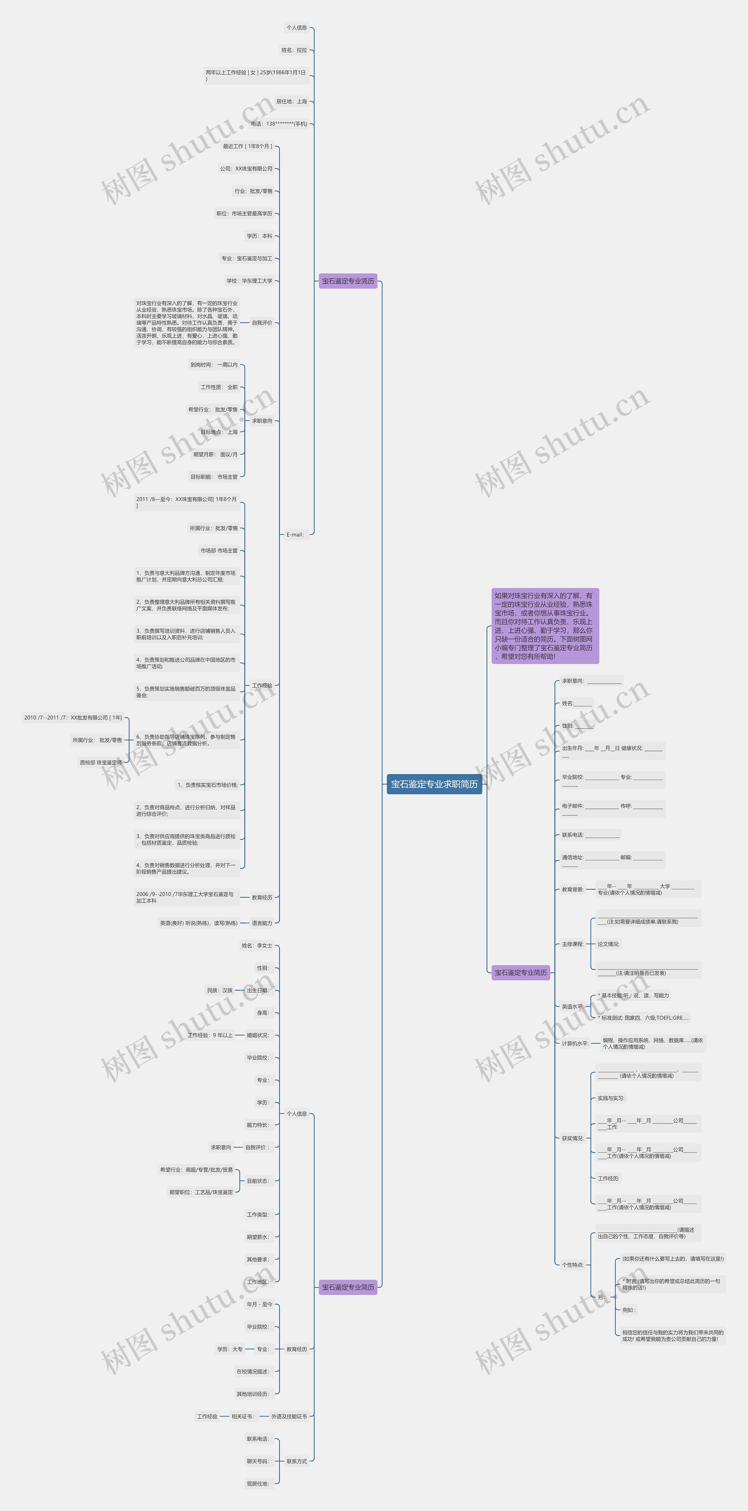 宝石鉴定专业求职简历思维导图