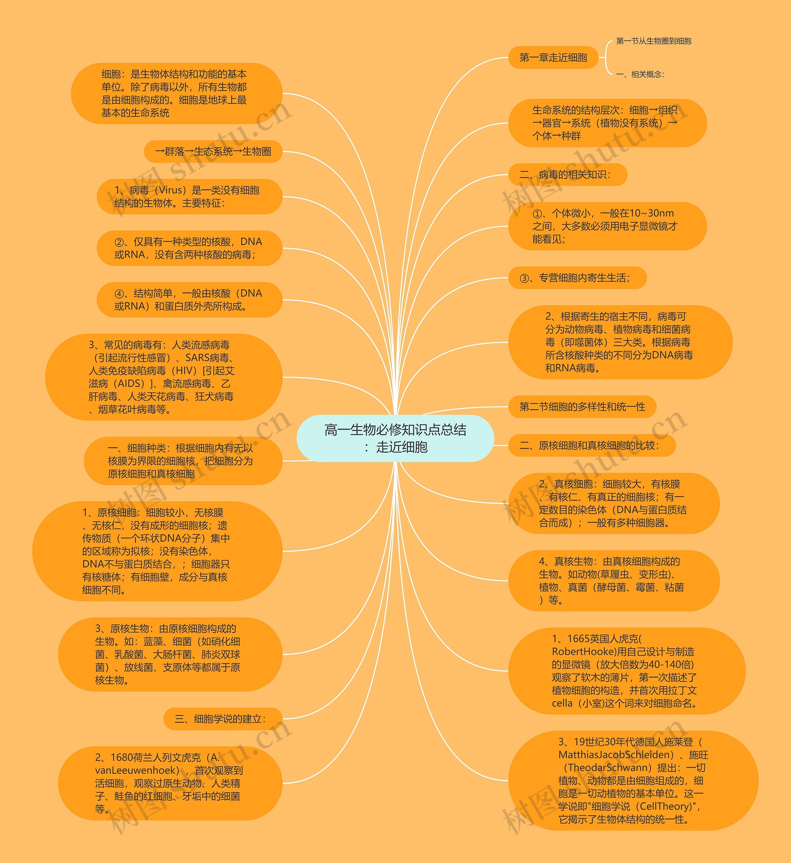 高一生物必修知识点总结：走近细胞思维导图