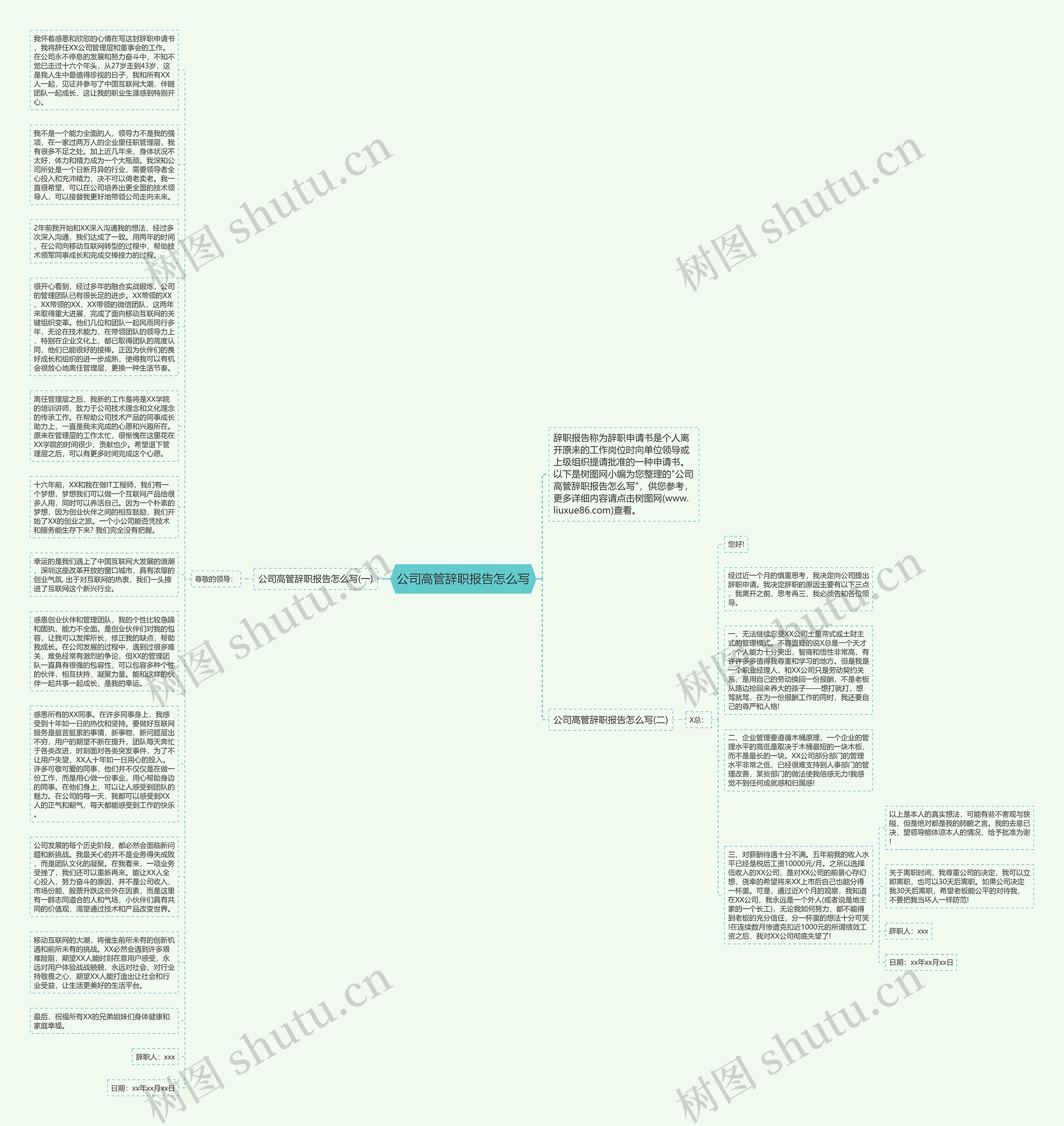 公司高管辞职报告怎么写思维导图