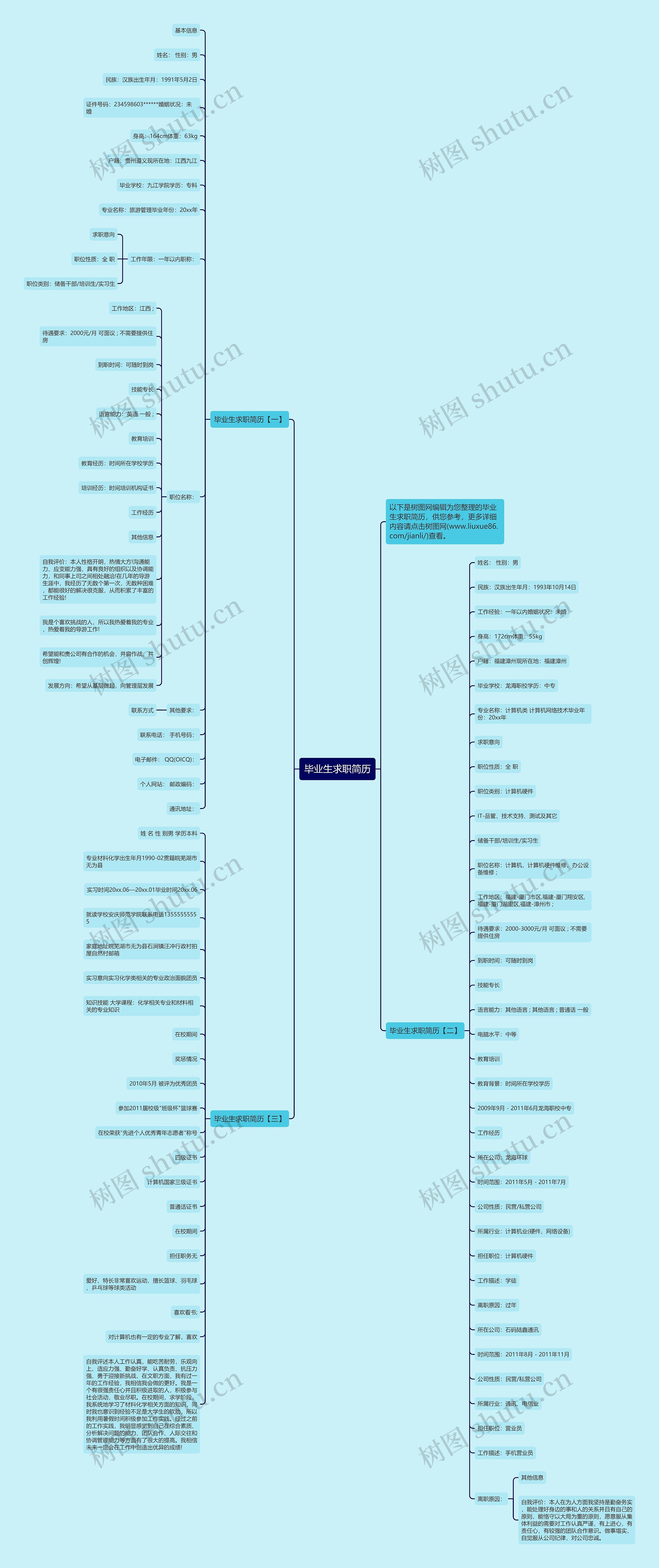 毕业生求职简历思维导图