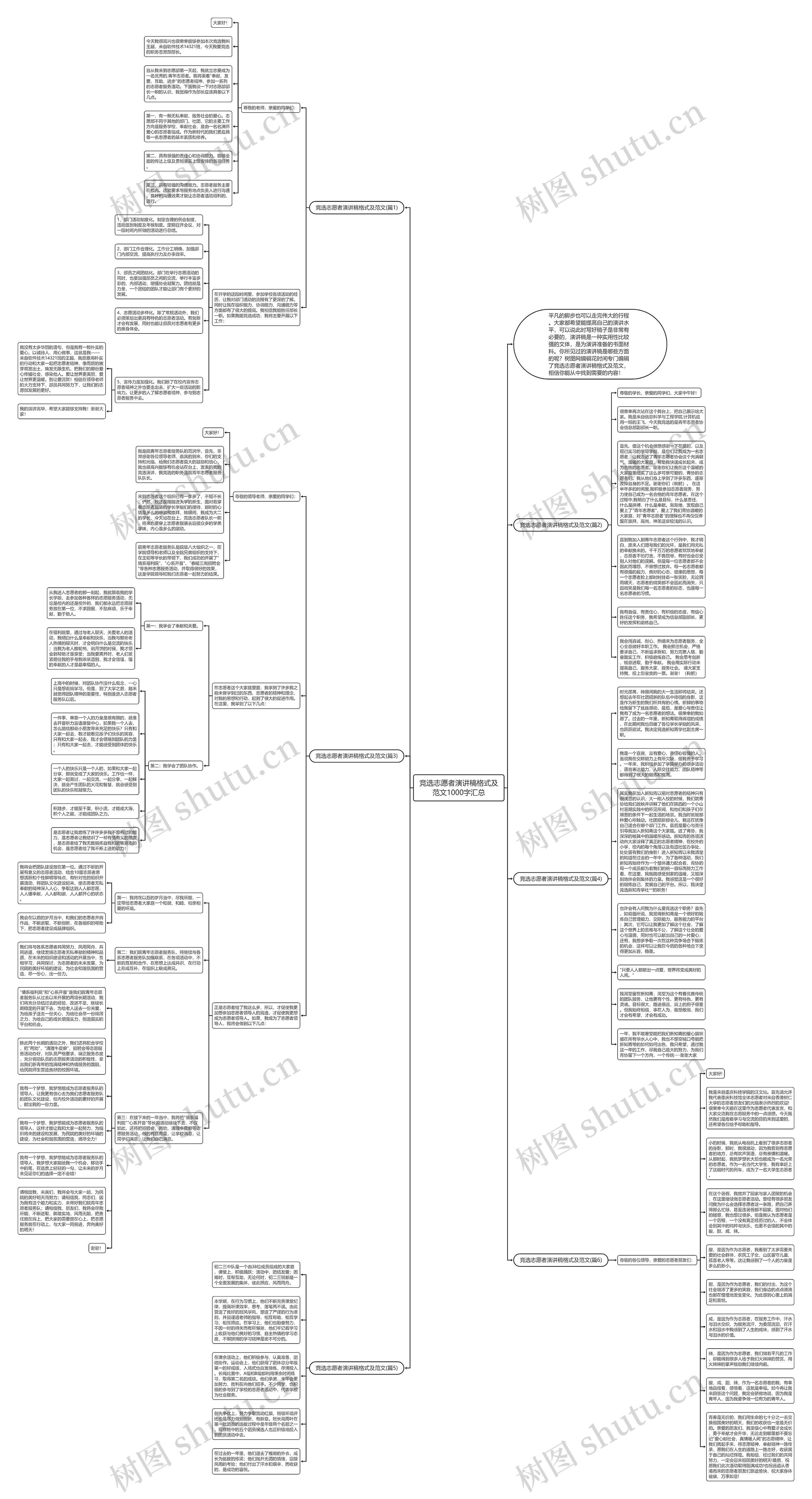 竞选志愿者演讲稿格式及范文1000字汇总