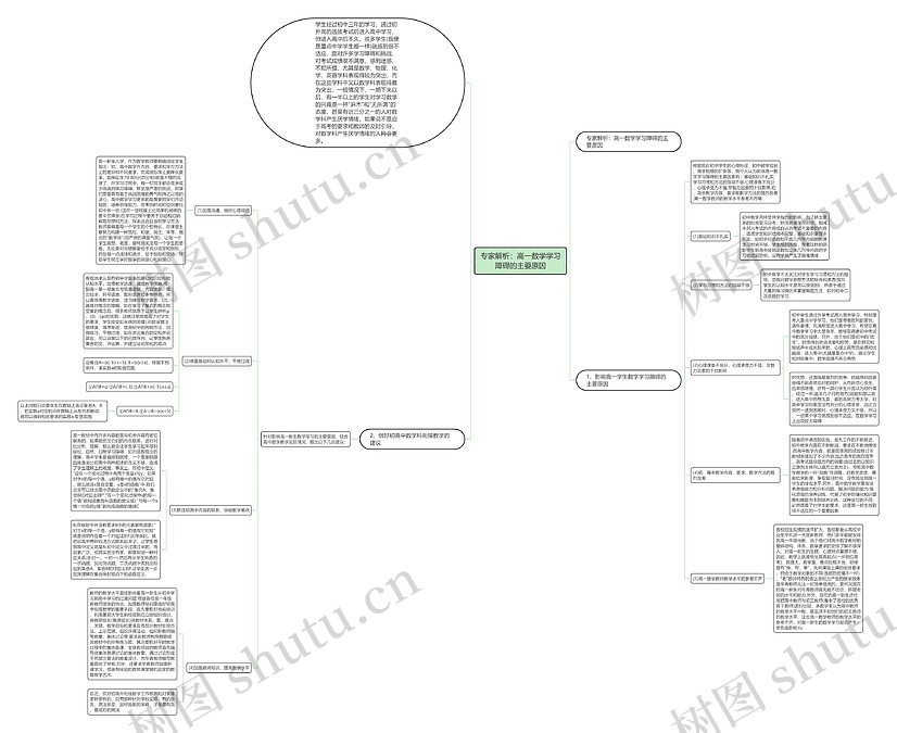 专家解析：高一数学学习障碍的主要原因思维导图_编号c2982687-TreeMind树图