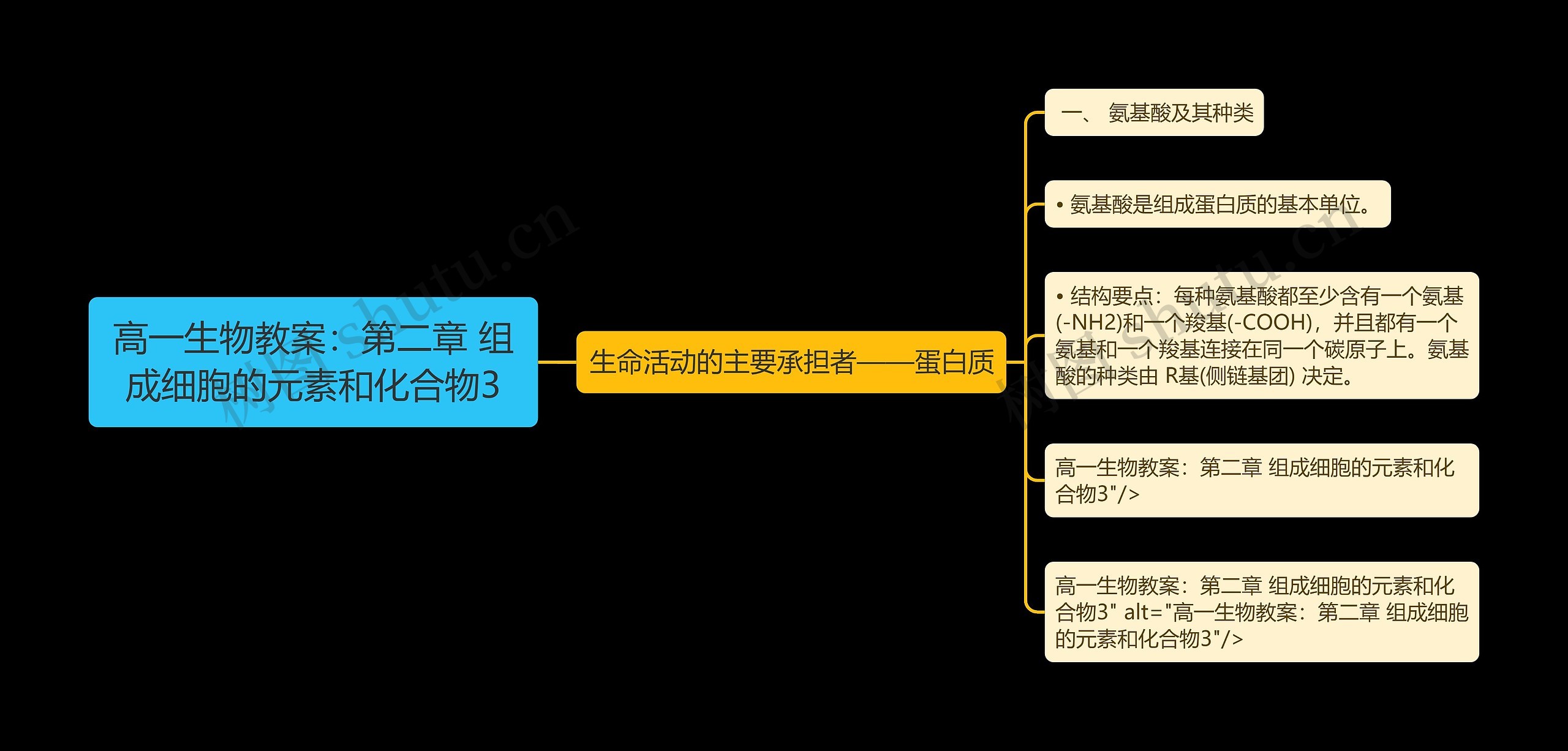 高一生物教案：第二章 组成细胞的元素和化合物3思维导图