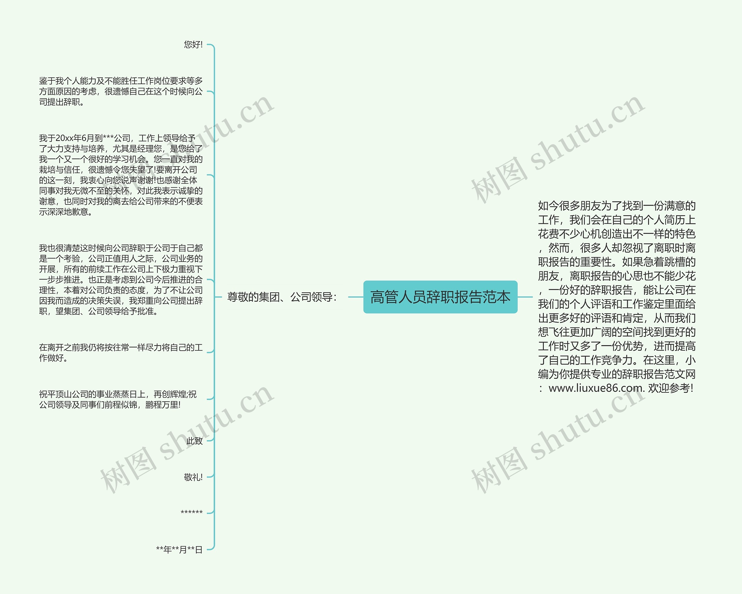 高管人员辞职报告范本思维导图