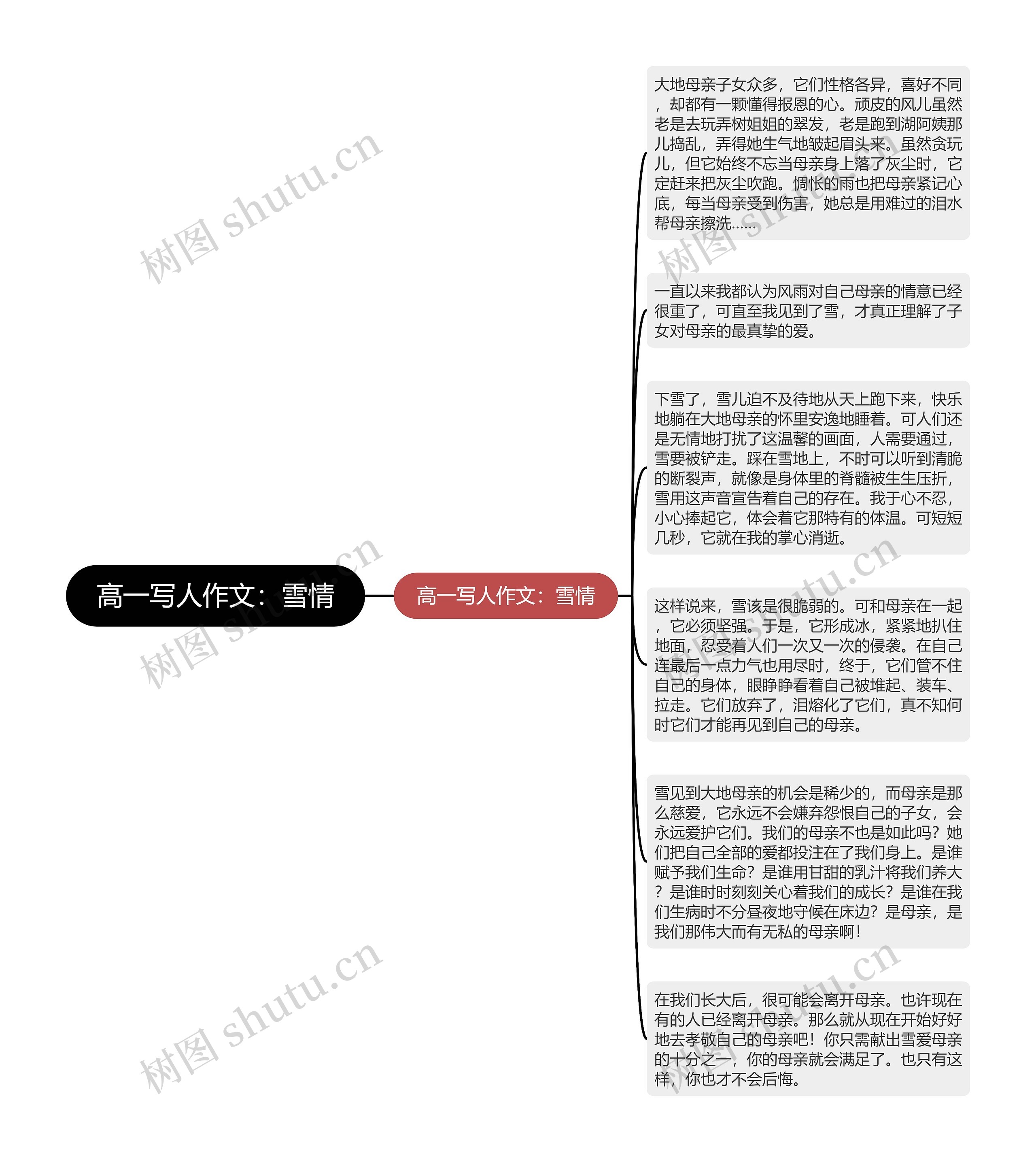 高一写人作文：雪情思维导图