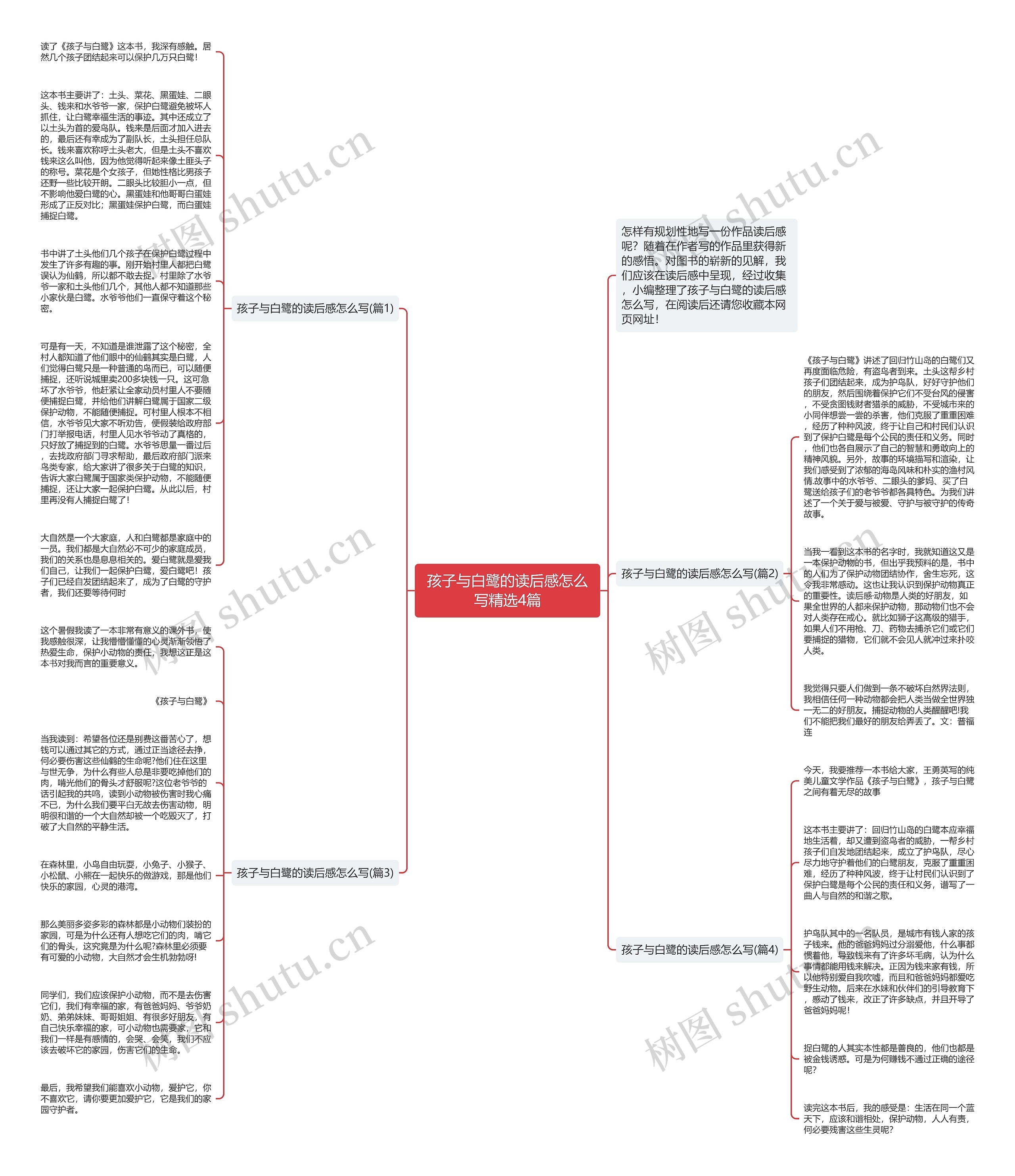 孩子与白鹭的读后感怎么写精选4篇思维导图