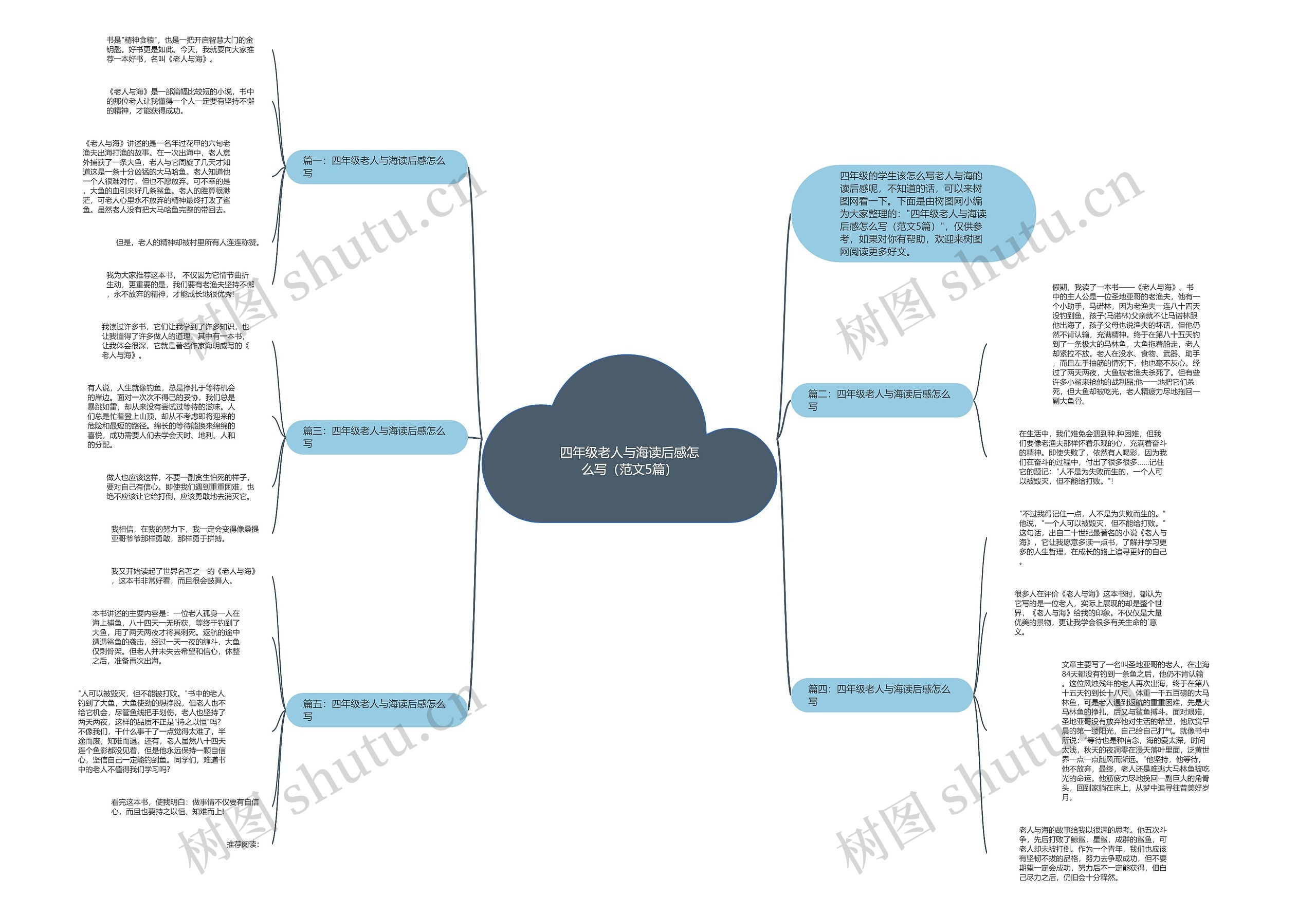 四年级老人与海读后感怎么写（范文5篇）思维导图