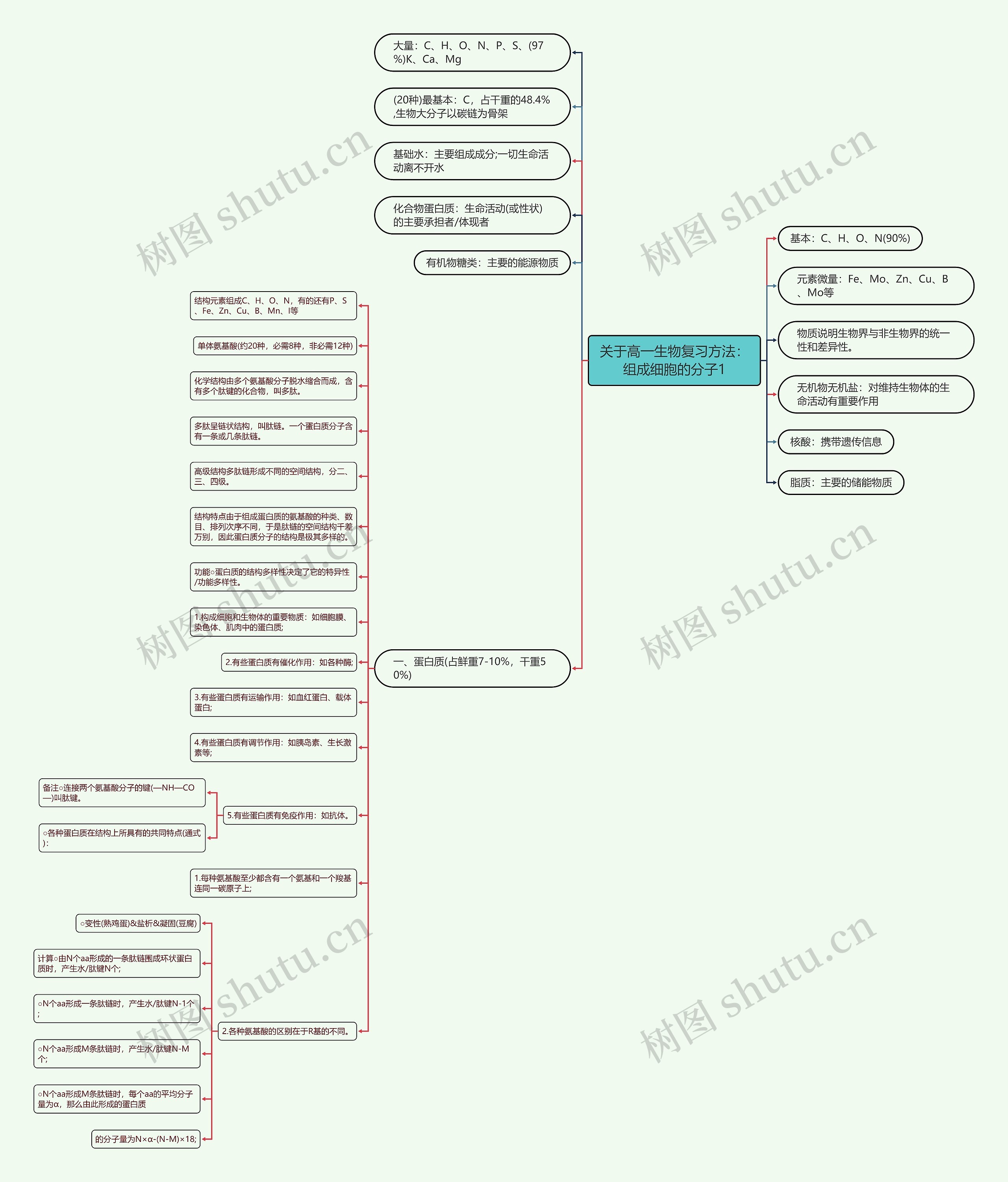 关于高一生物复习方法：组成细胞的分子1思维导图