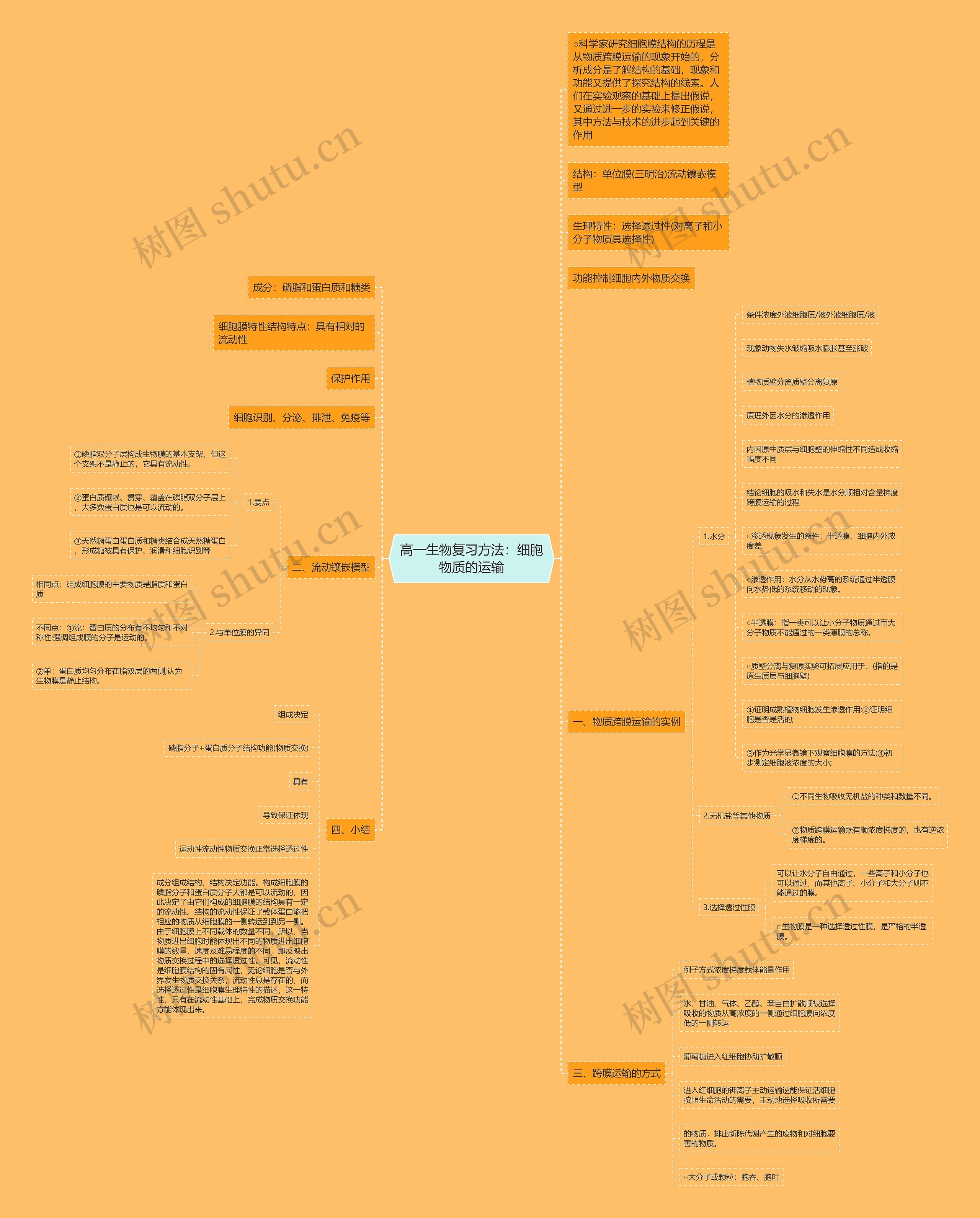 高一生物复习方法:细胞物质的运输思维导图高清图 高一生物复习方法:细胞物质的运输思维导图