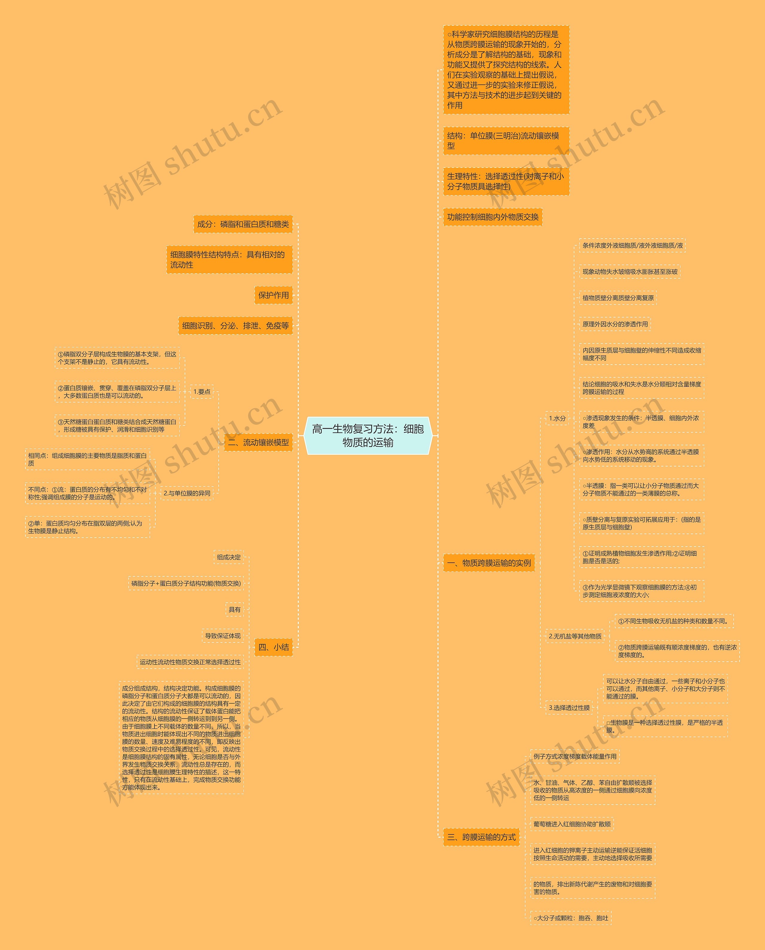 高一生物复习方法：细胞物质的运输思维导图