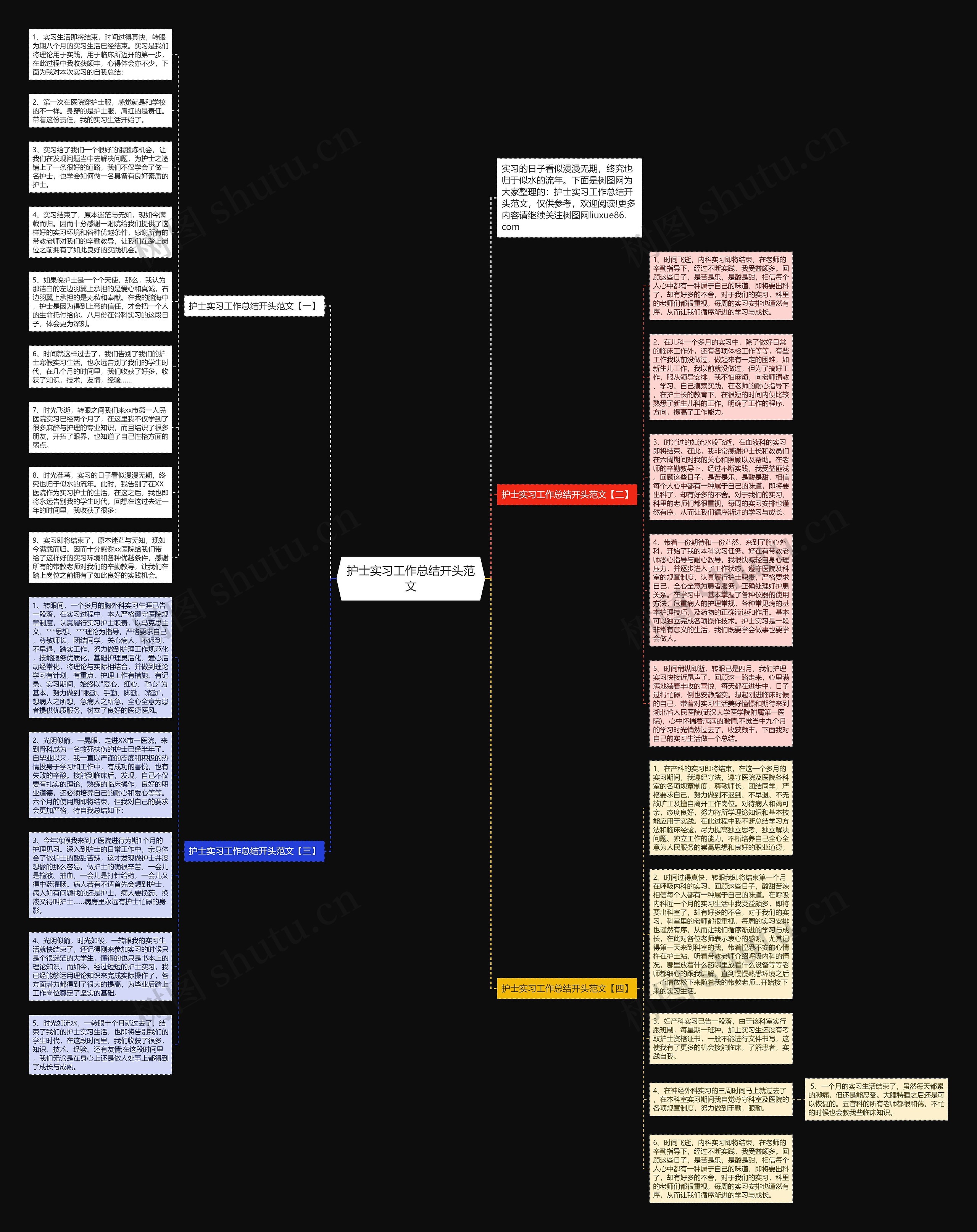 护士实习工作总结开头范文思维导图