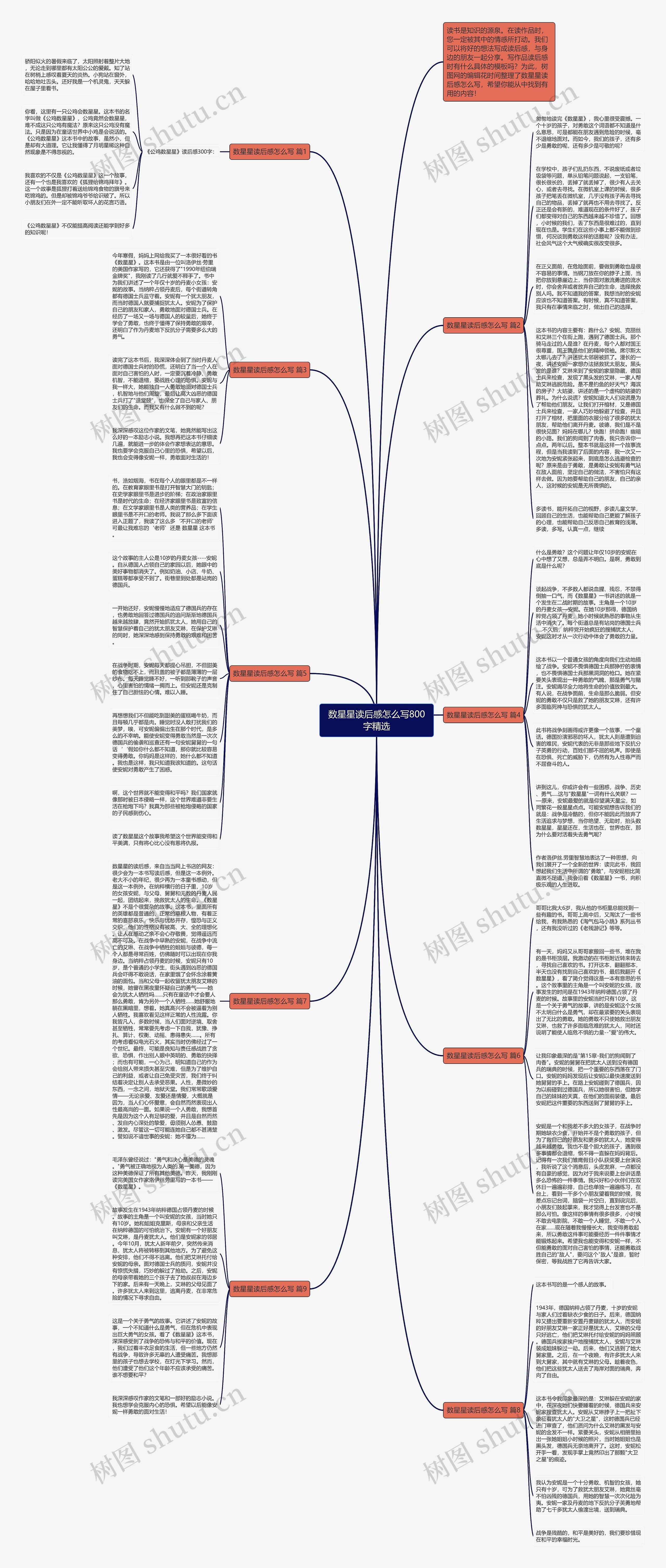 数星星读后感怎么写800字精选思维导图