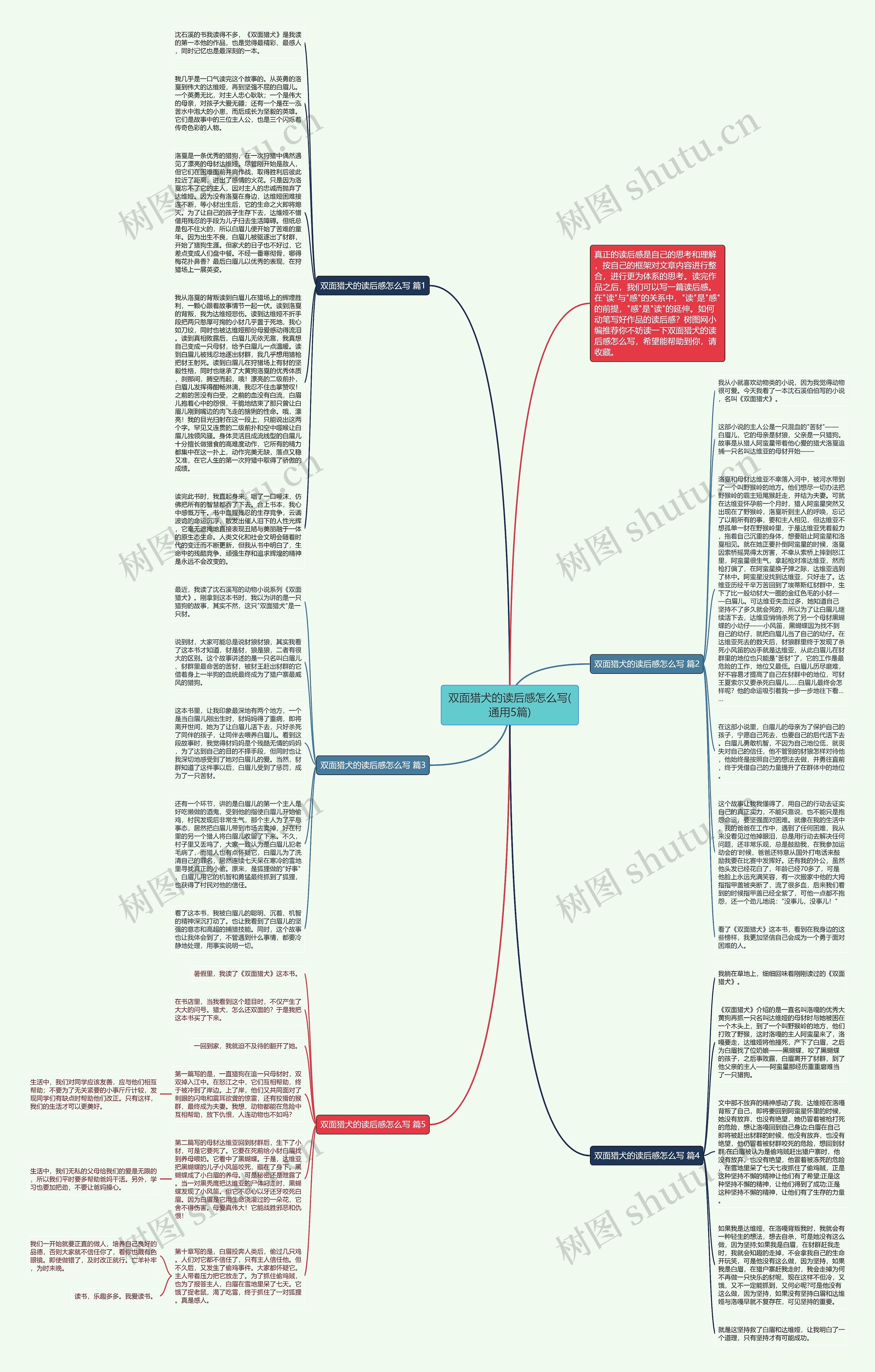 双面猎犬的读后感怎么写(通用5篇)思维导图