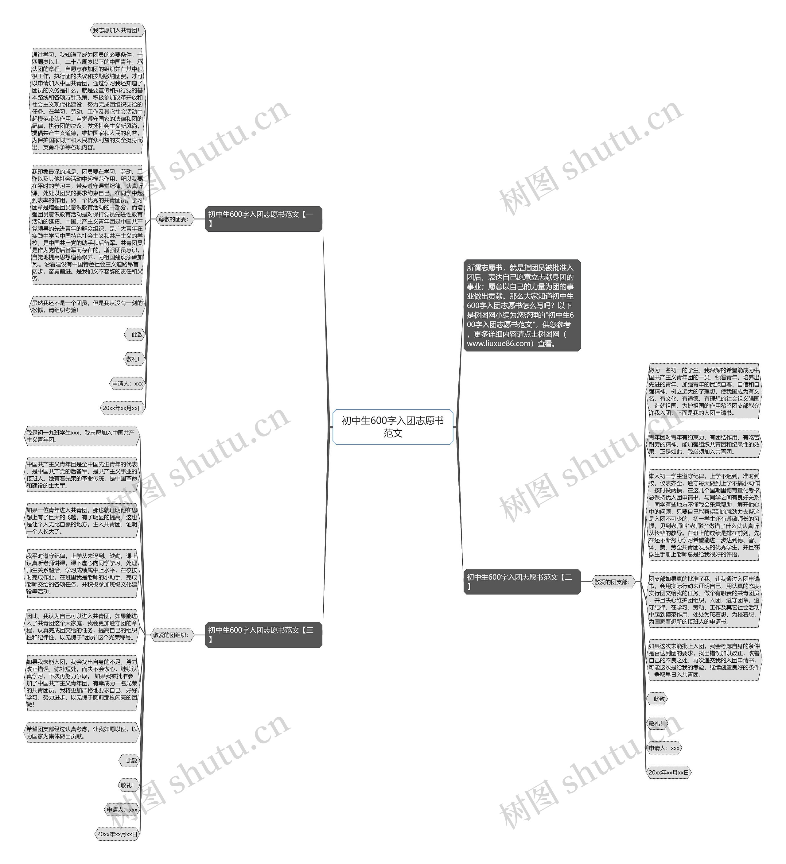 初中生600字入团志愿书范文思维导图