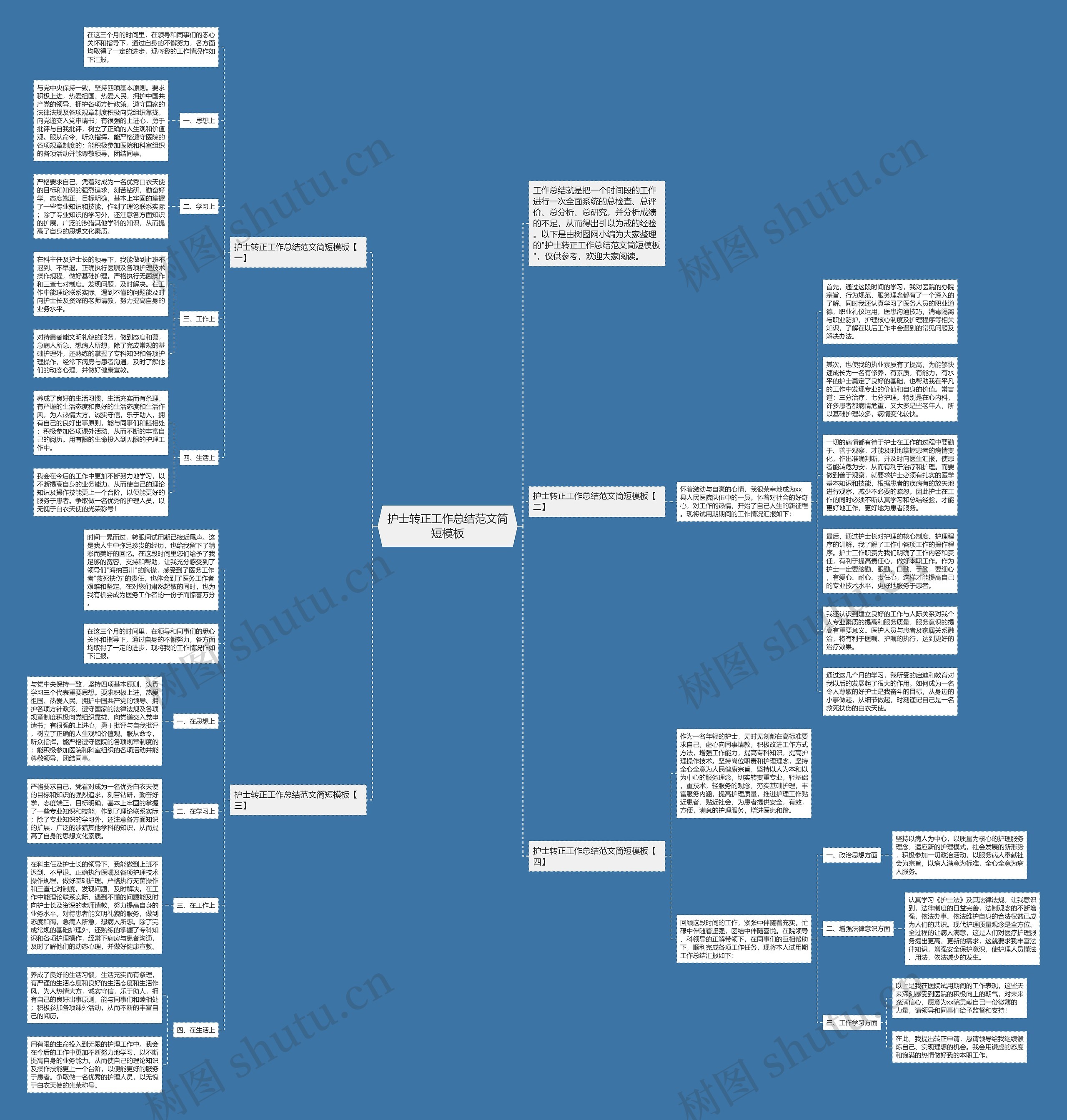 护士转正工作总结范文简短思维导图