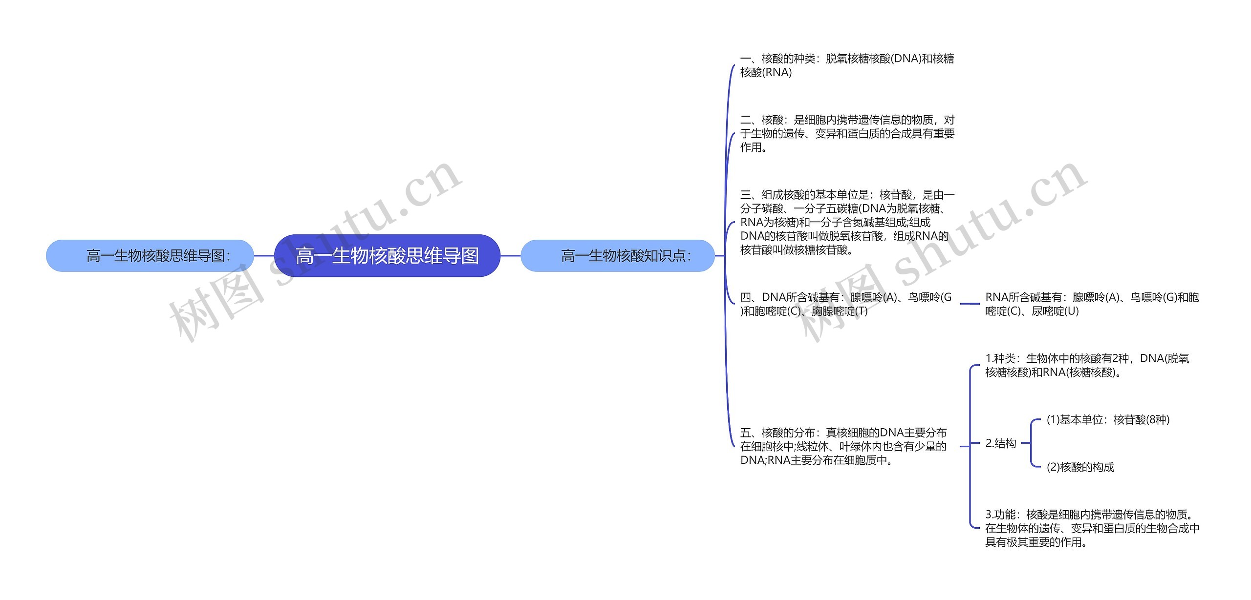 高一生物核酸思维导图