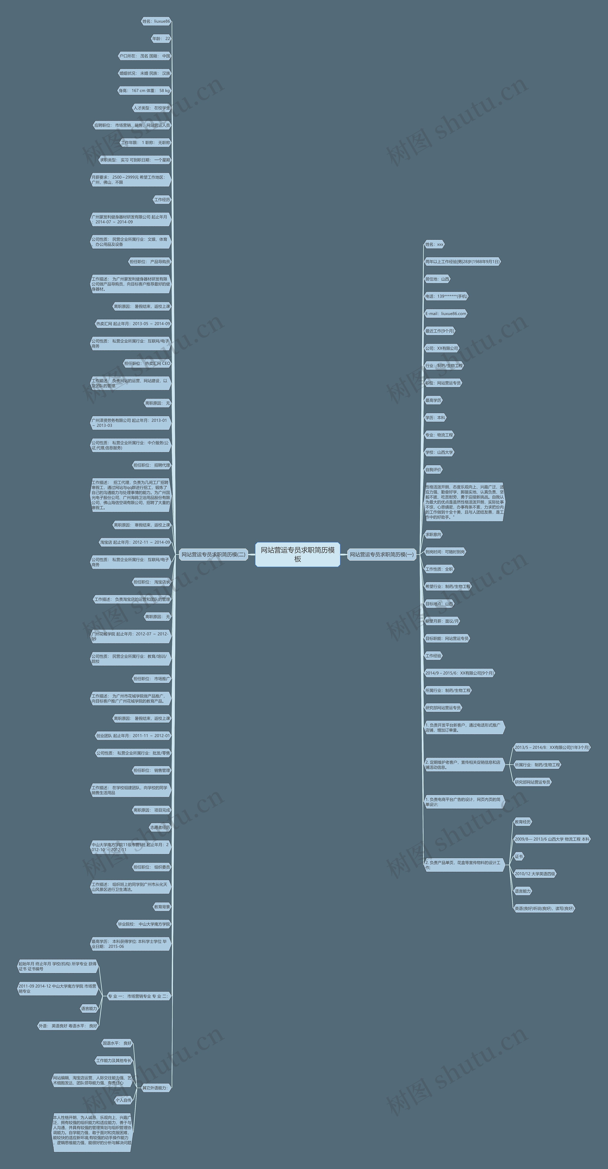 网站营运专员求职简历思维导图