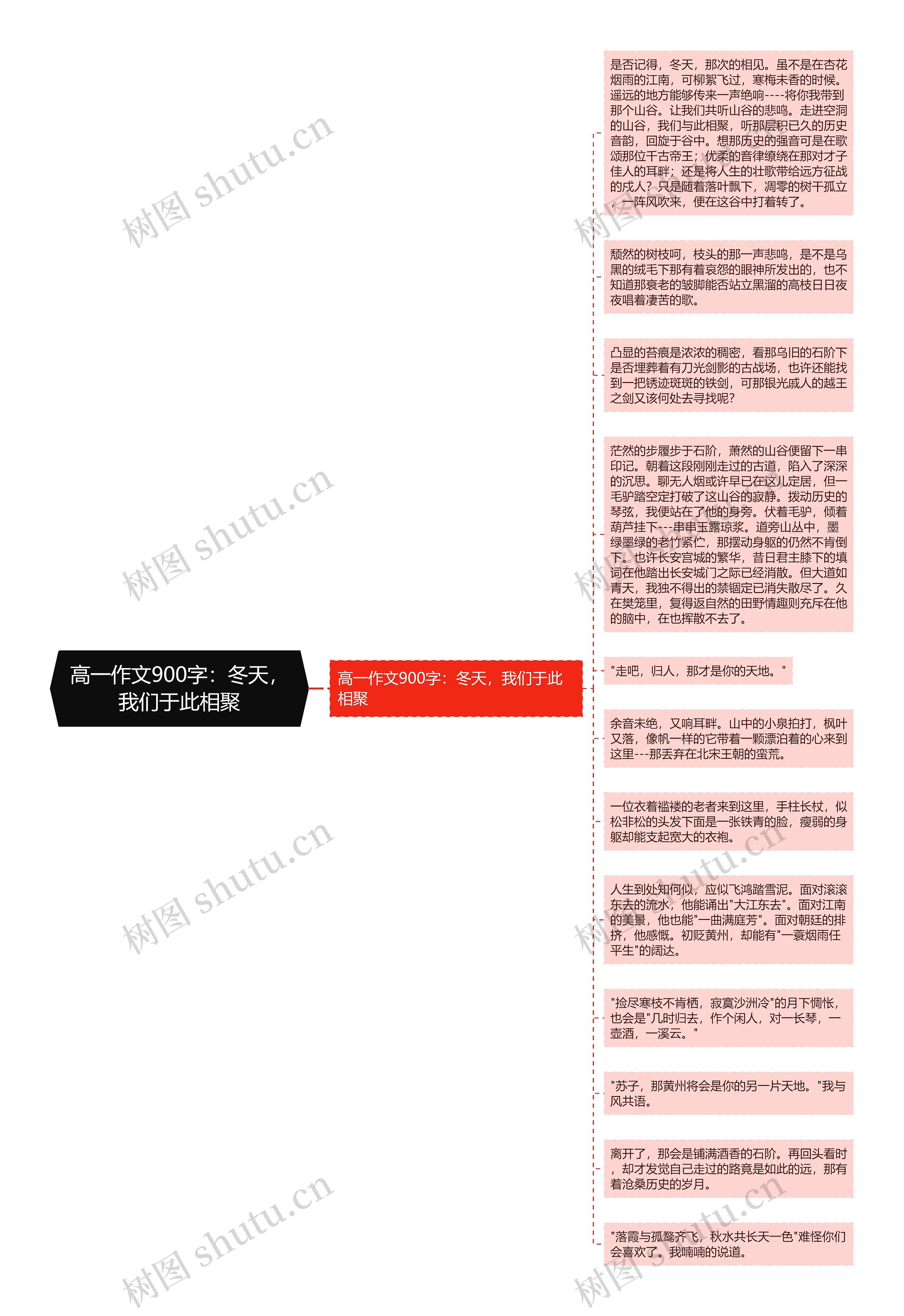 高一作文900字：冬天，我们于此相聚思维导图