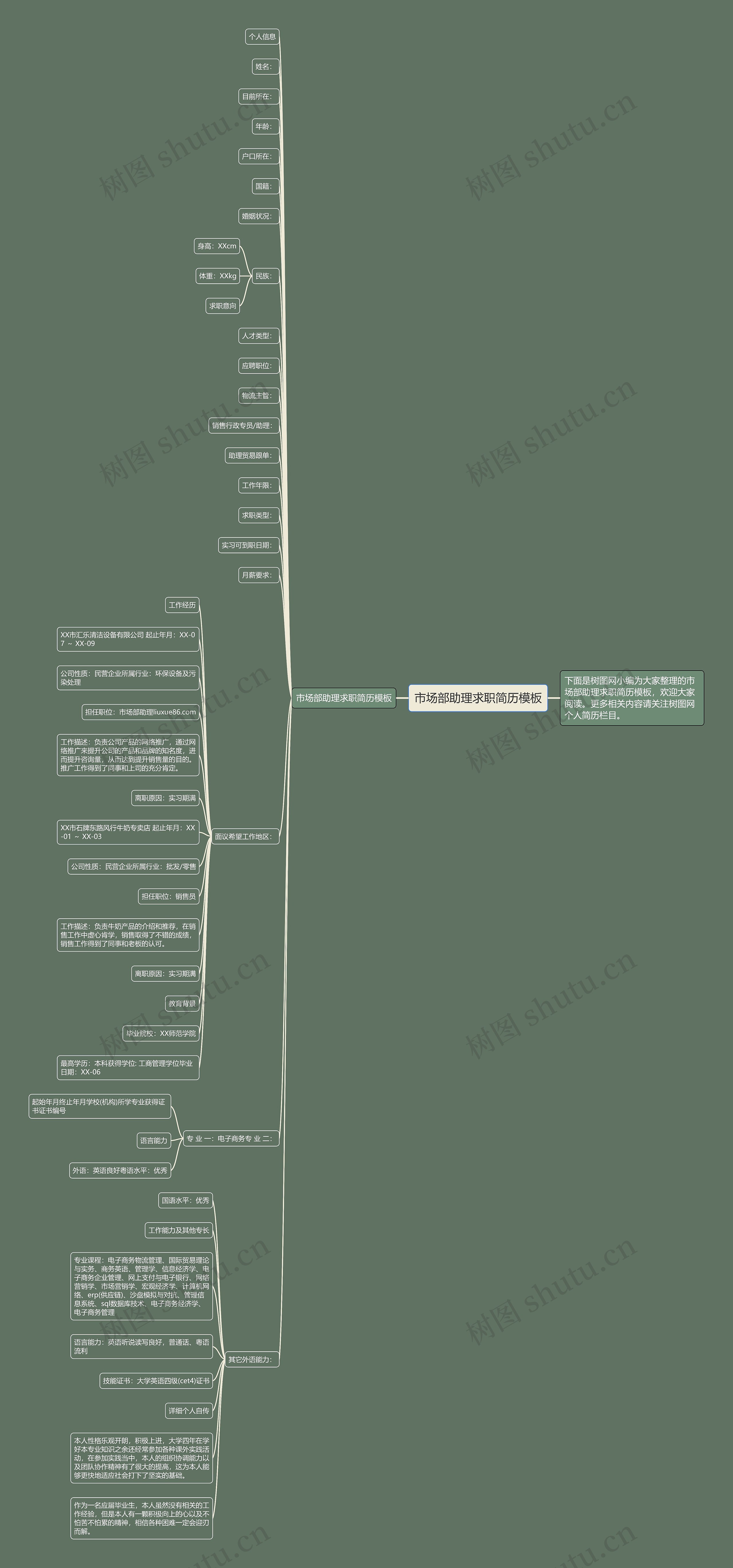 市场部助理求职简历思维导图
