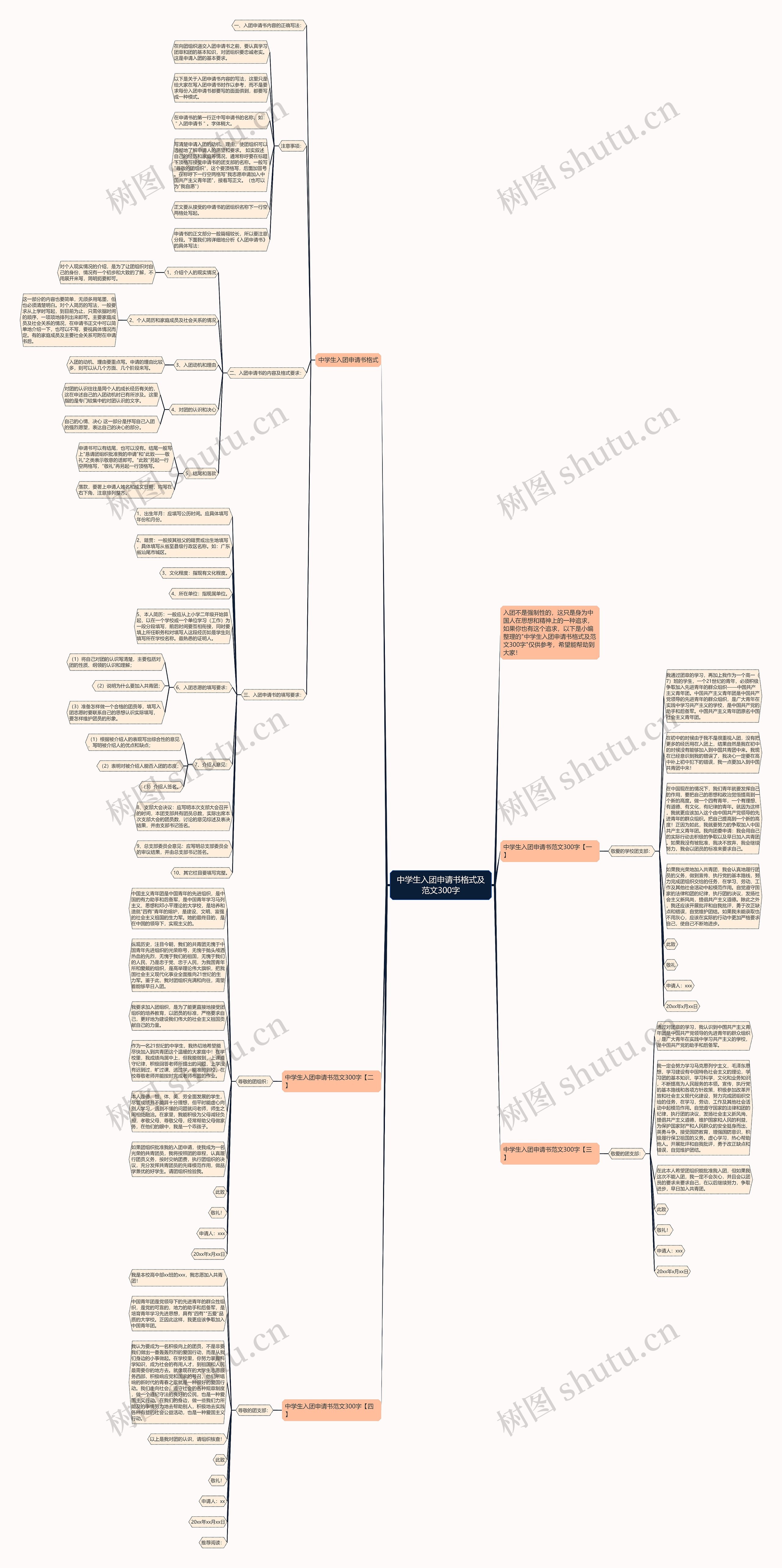 中学生入团申请书格式及范文300字思维导图