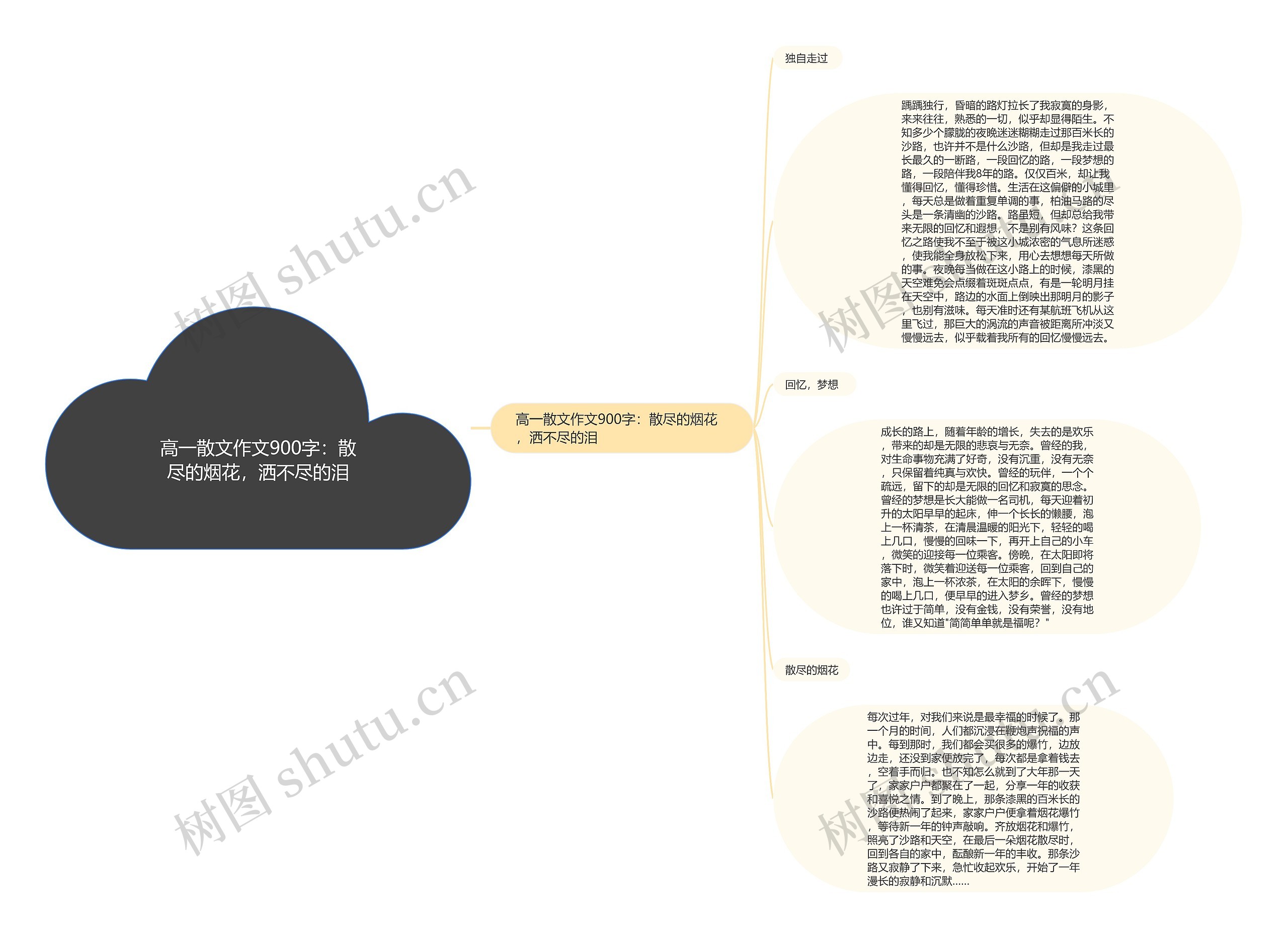 高一散文作文900字：散尽的烟花，洒不尽的泪