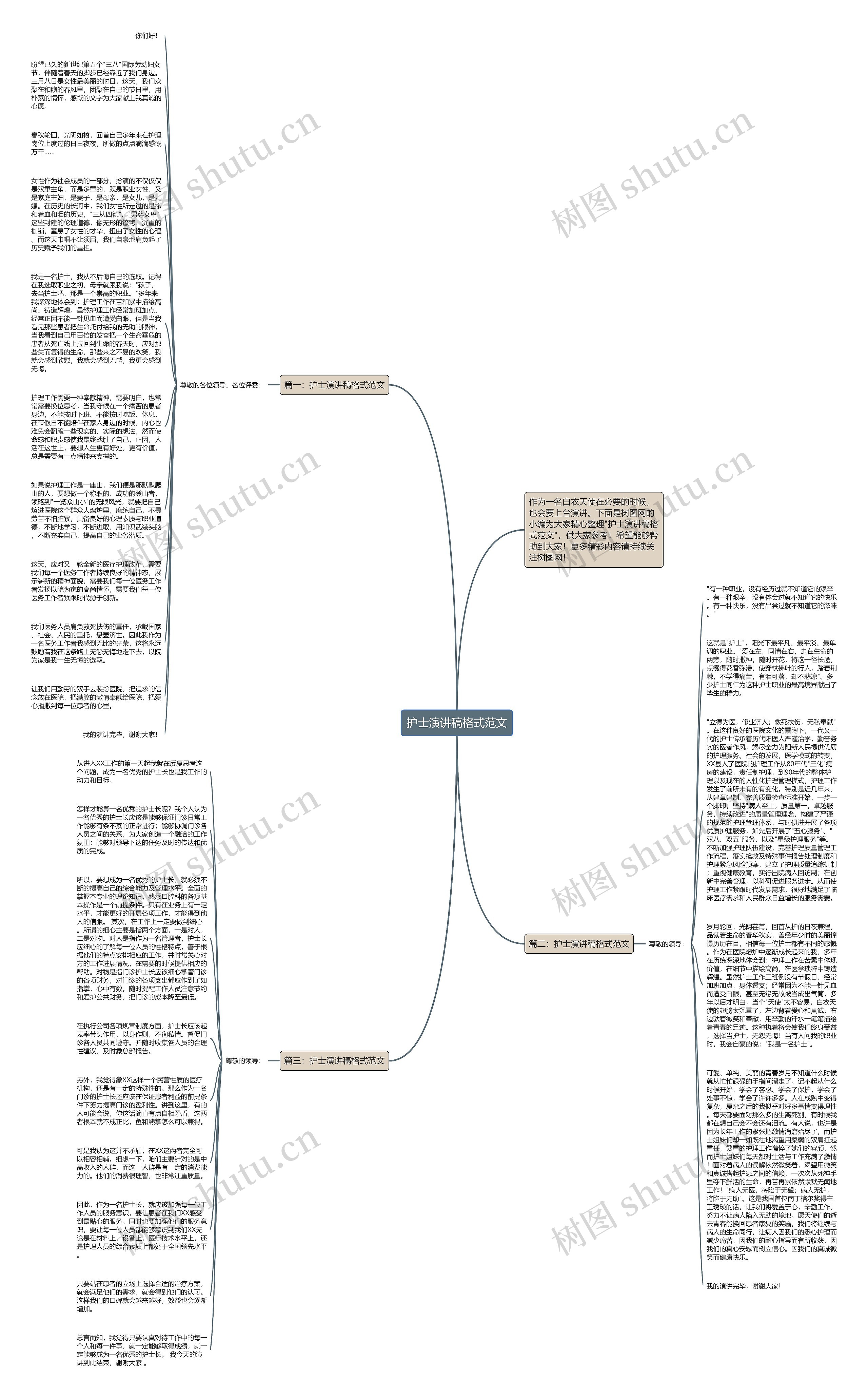 护士演讲稿格式范文思维导图