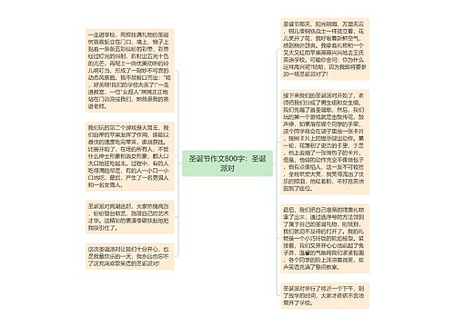 圣诞节作文800字：圣诞派对