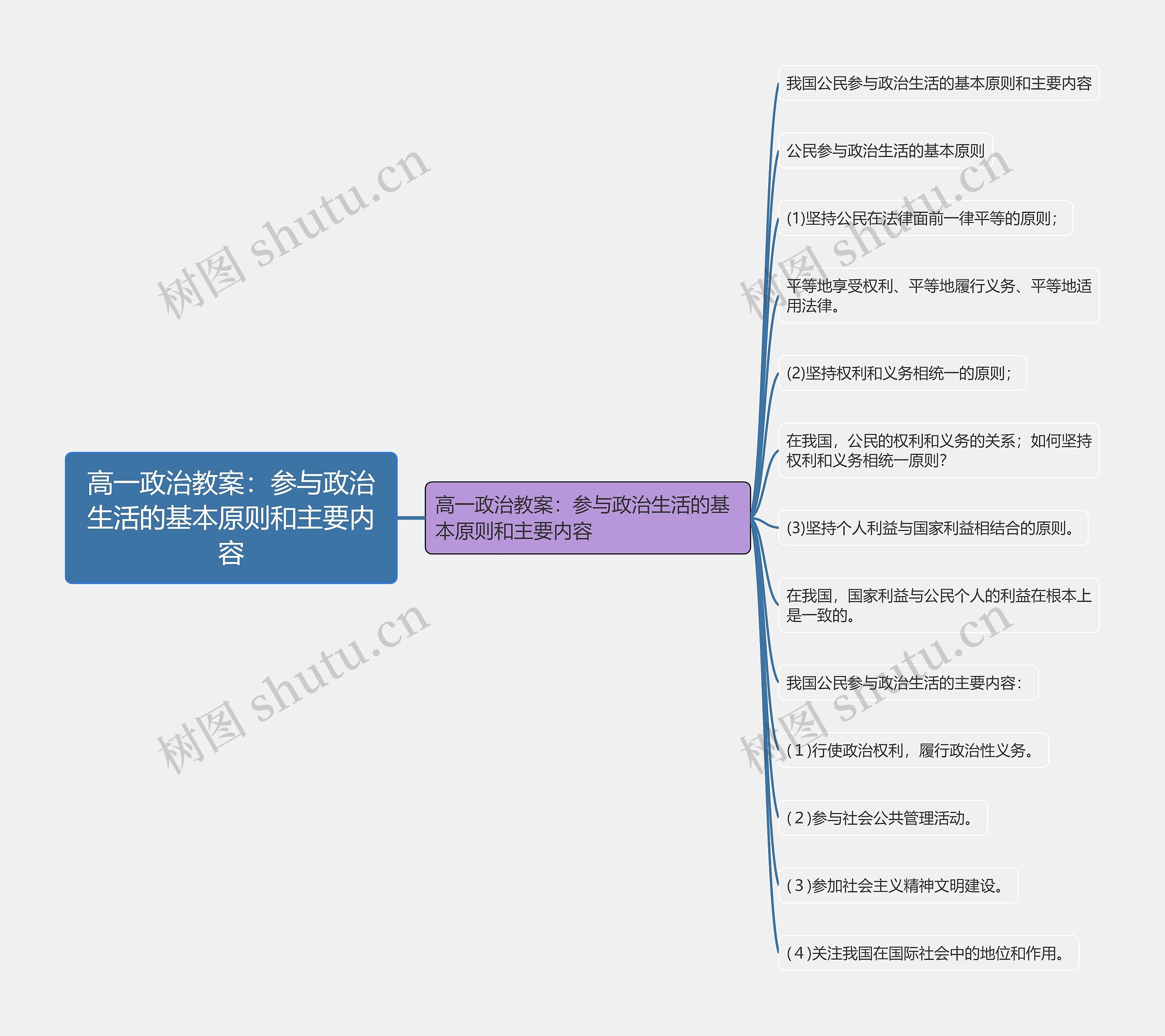 高一政治教案:参与政治生活的基本原则和主要内容 高一政治教案:参与政治生活的基本原则和主要内容