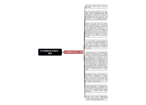 关于梦想的作文900字：逐梦