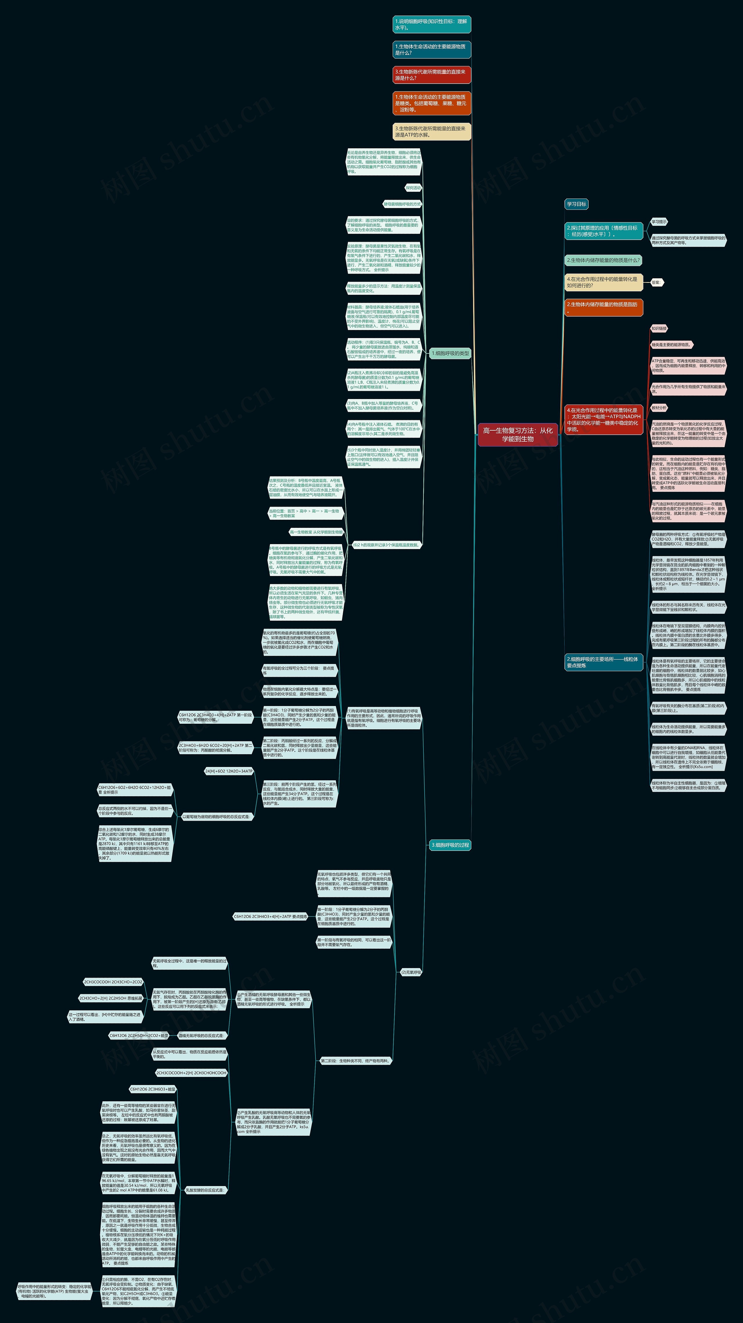 高一生物复习方法：从化学能到生物思维导图