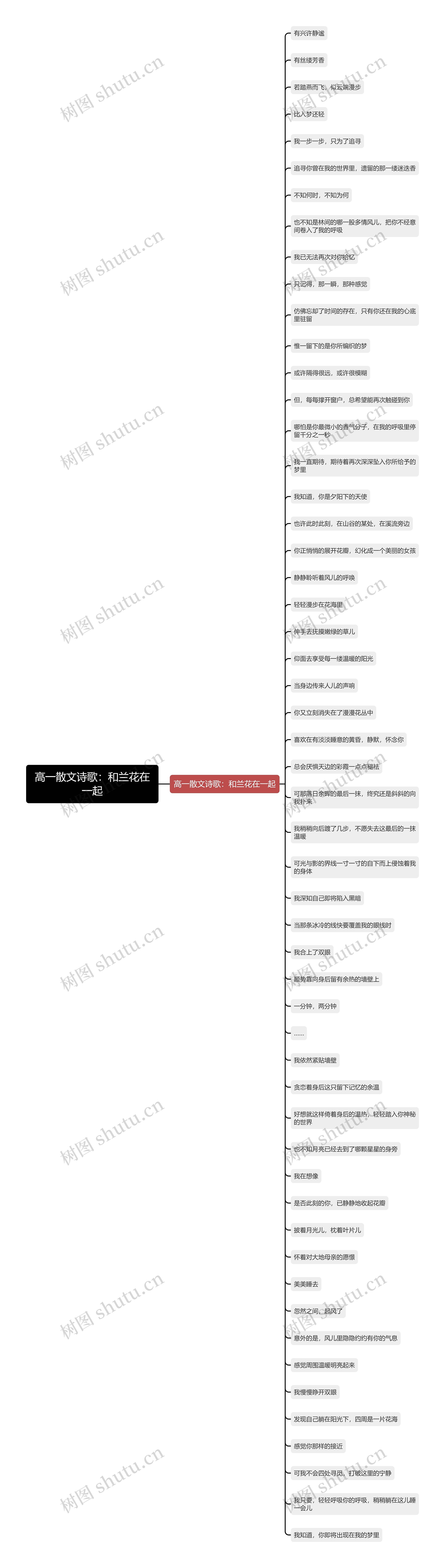 高一散文诗歌：和兰花在一起思维导图