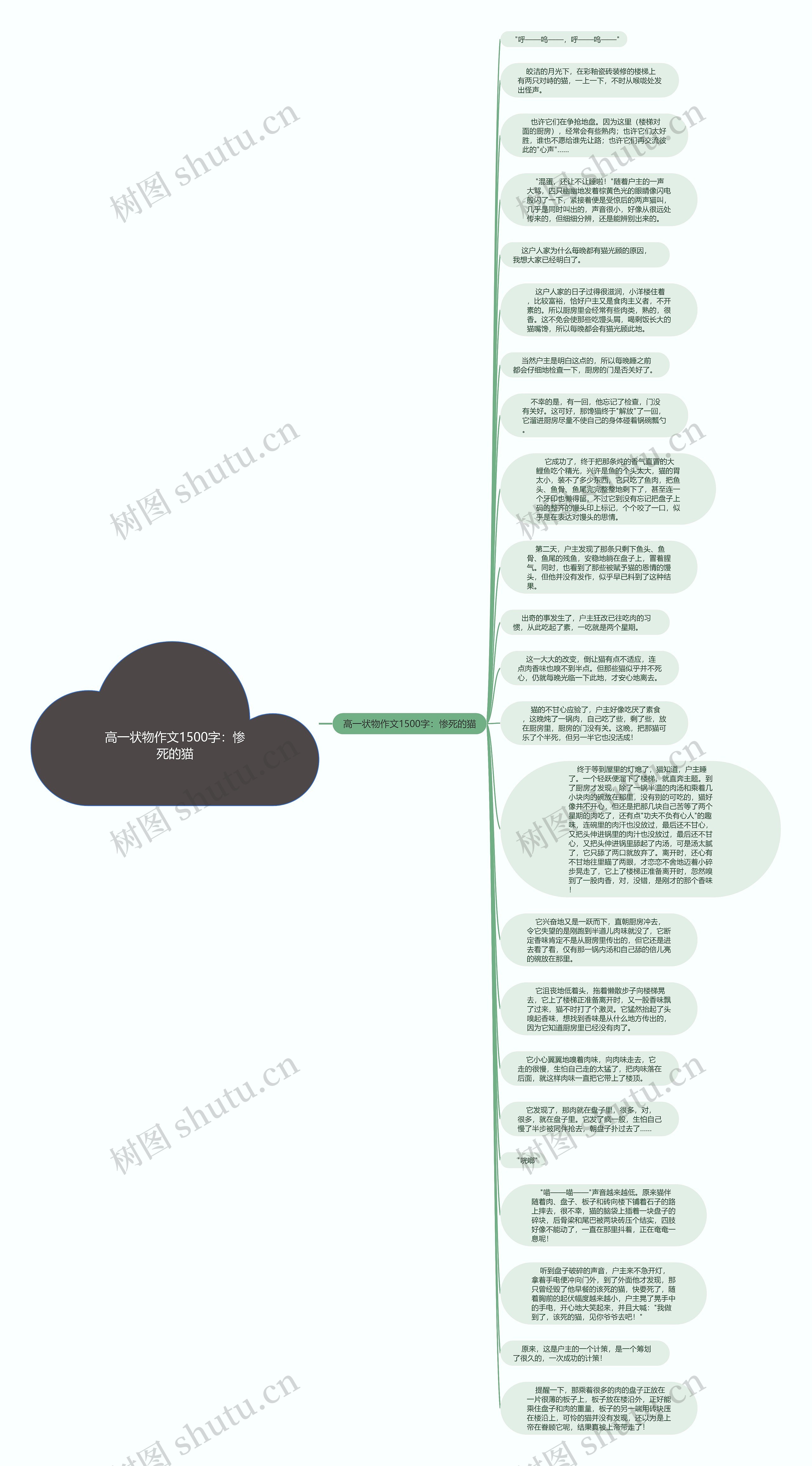 高一状物作文1500字：惨死的猫思维导图