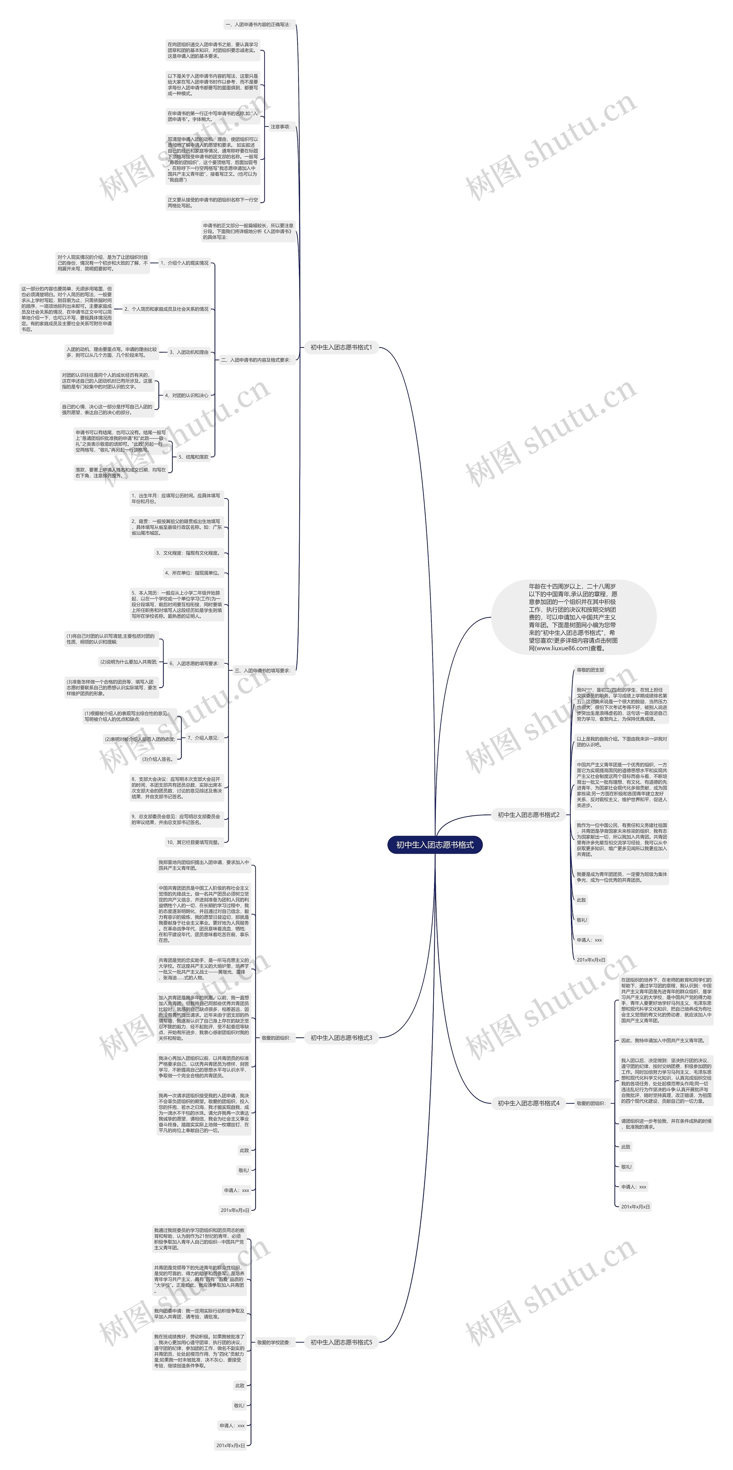 初中生入团志愿书格式思维导图