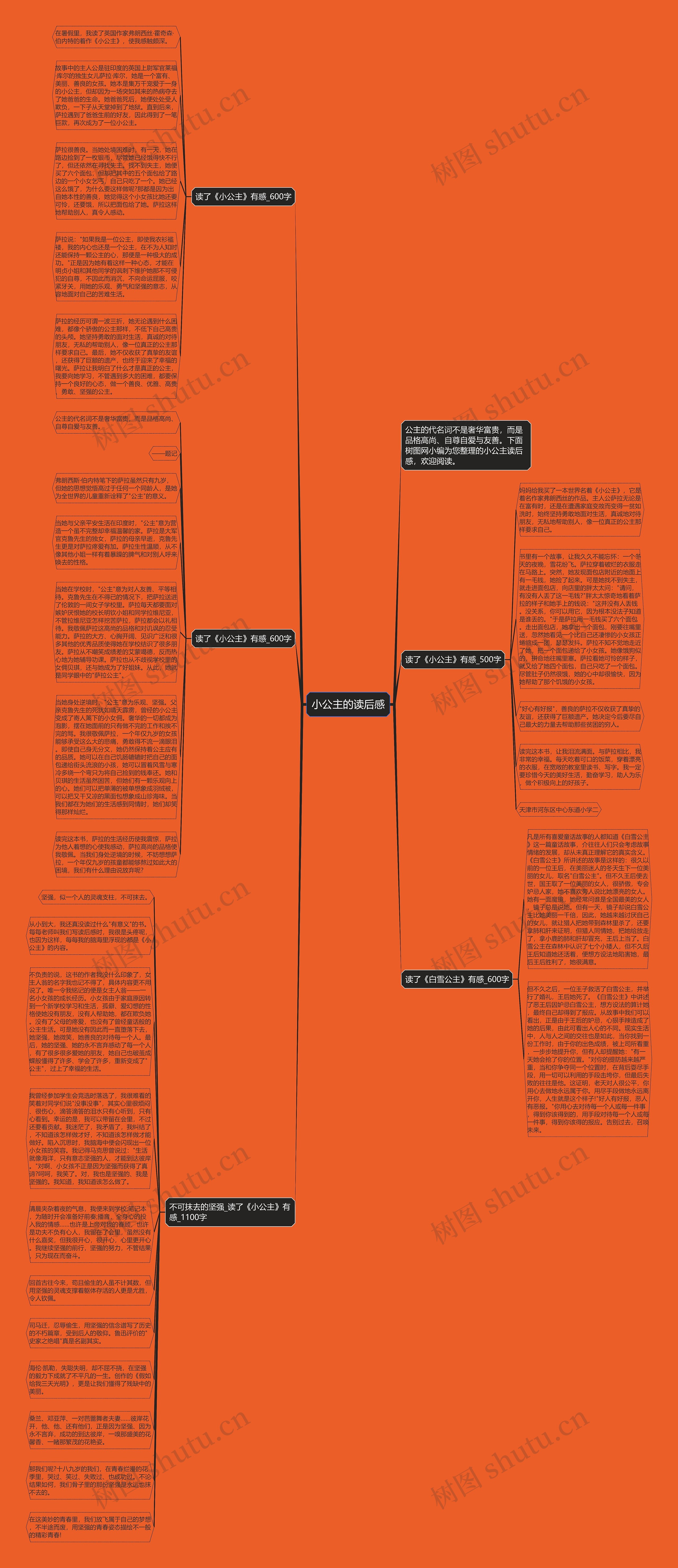 小公主的读后感思维导图