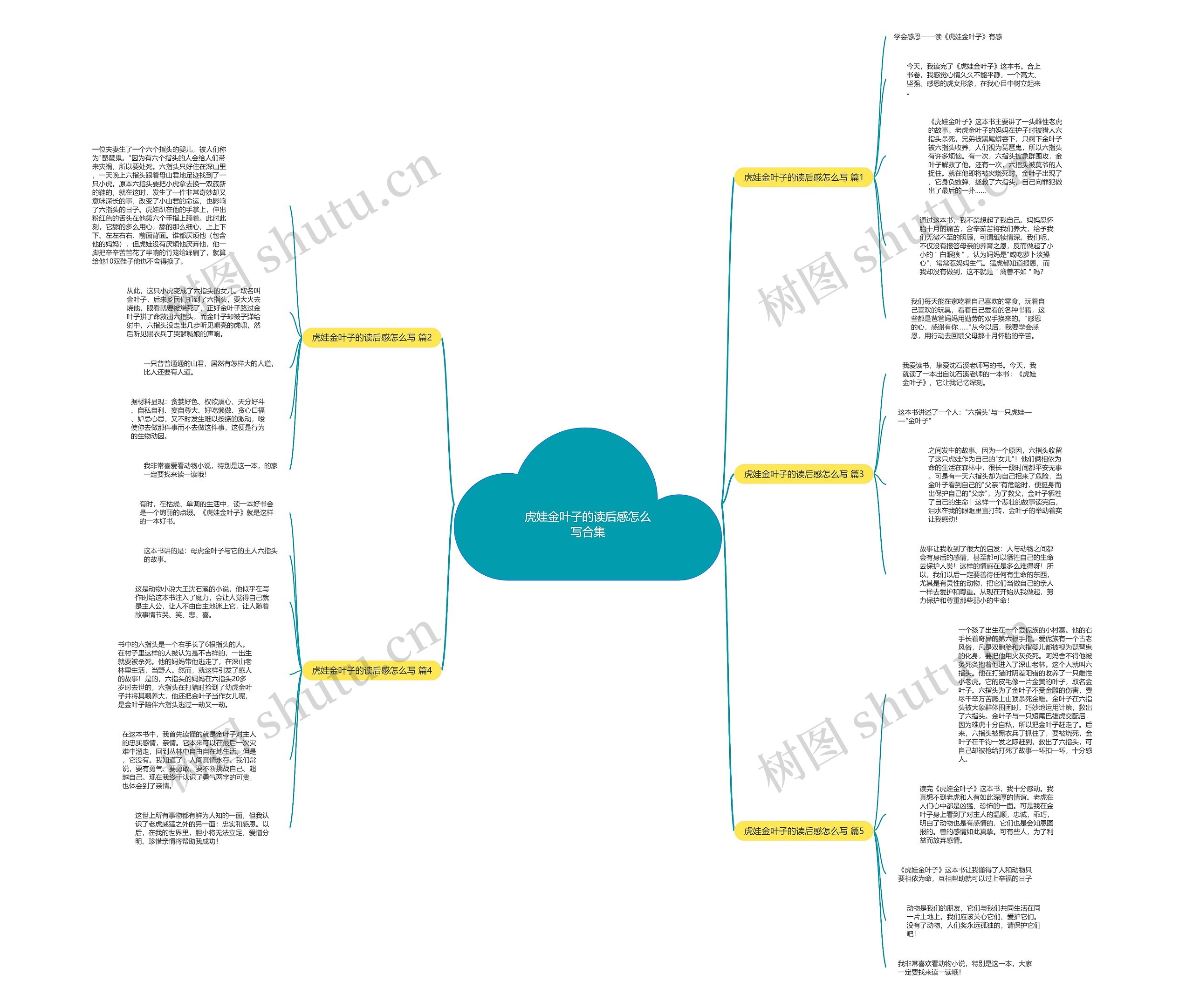 虎娃金叶子的读后感怎么写合集思维导图