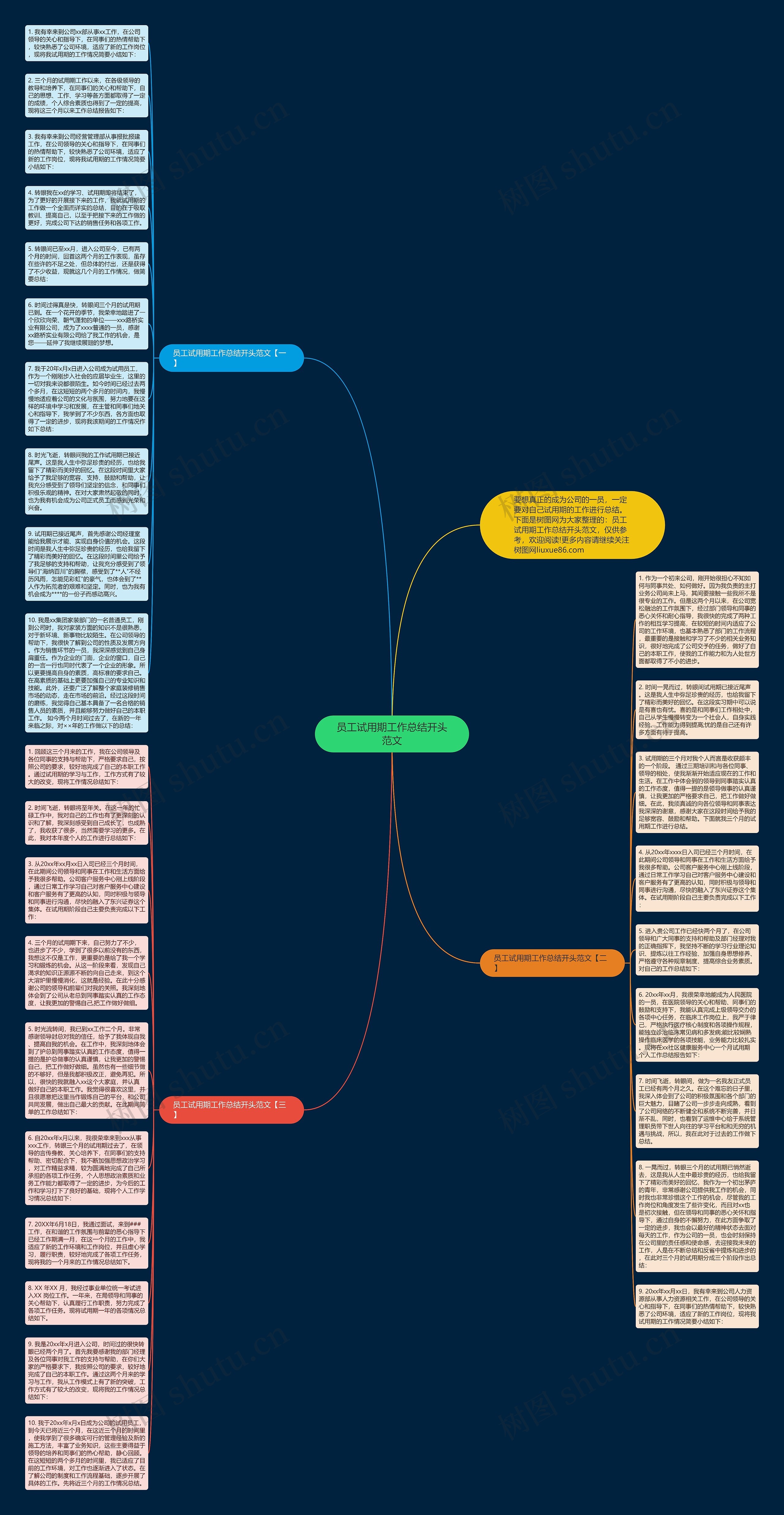 员工试用期工作总结开头范文思维导图