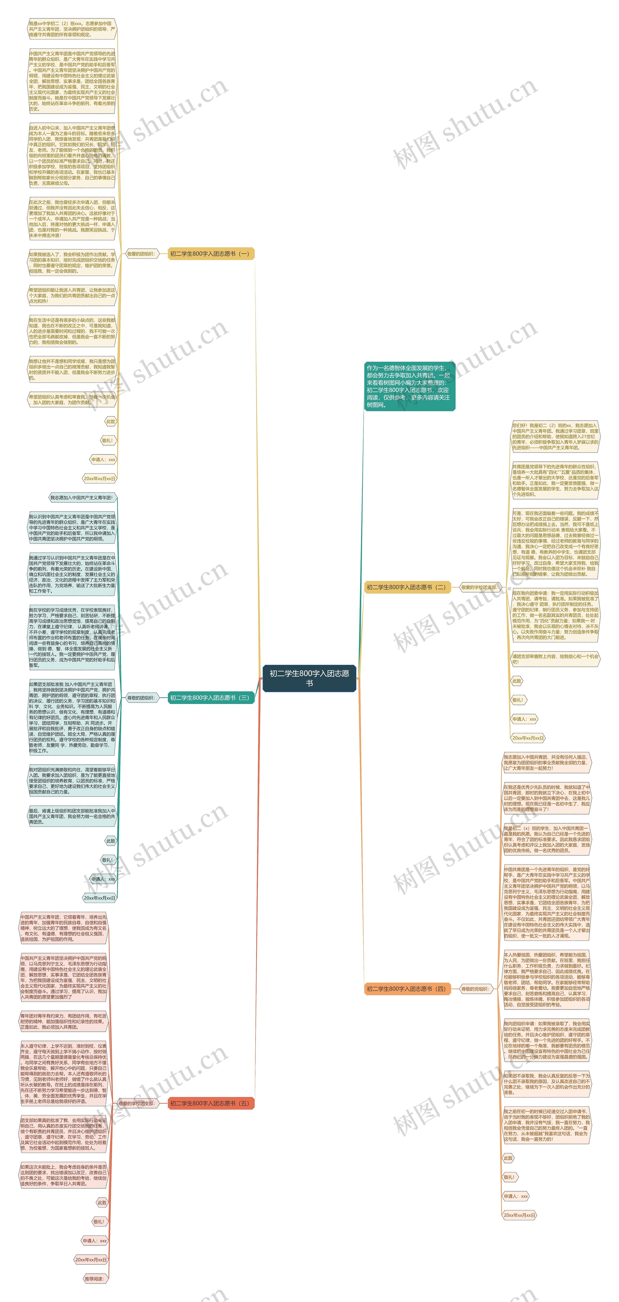初二学生800字入团志愿书思维导图