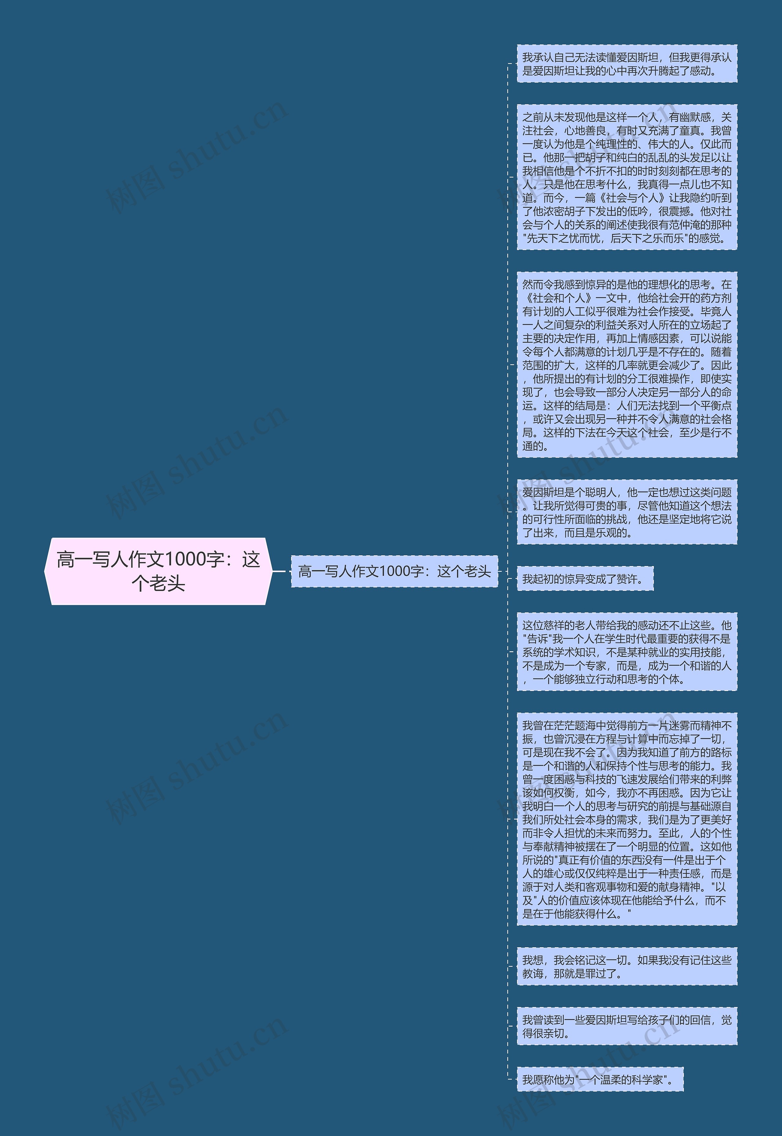 高一写人作文1000字：这个老头思维导图