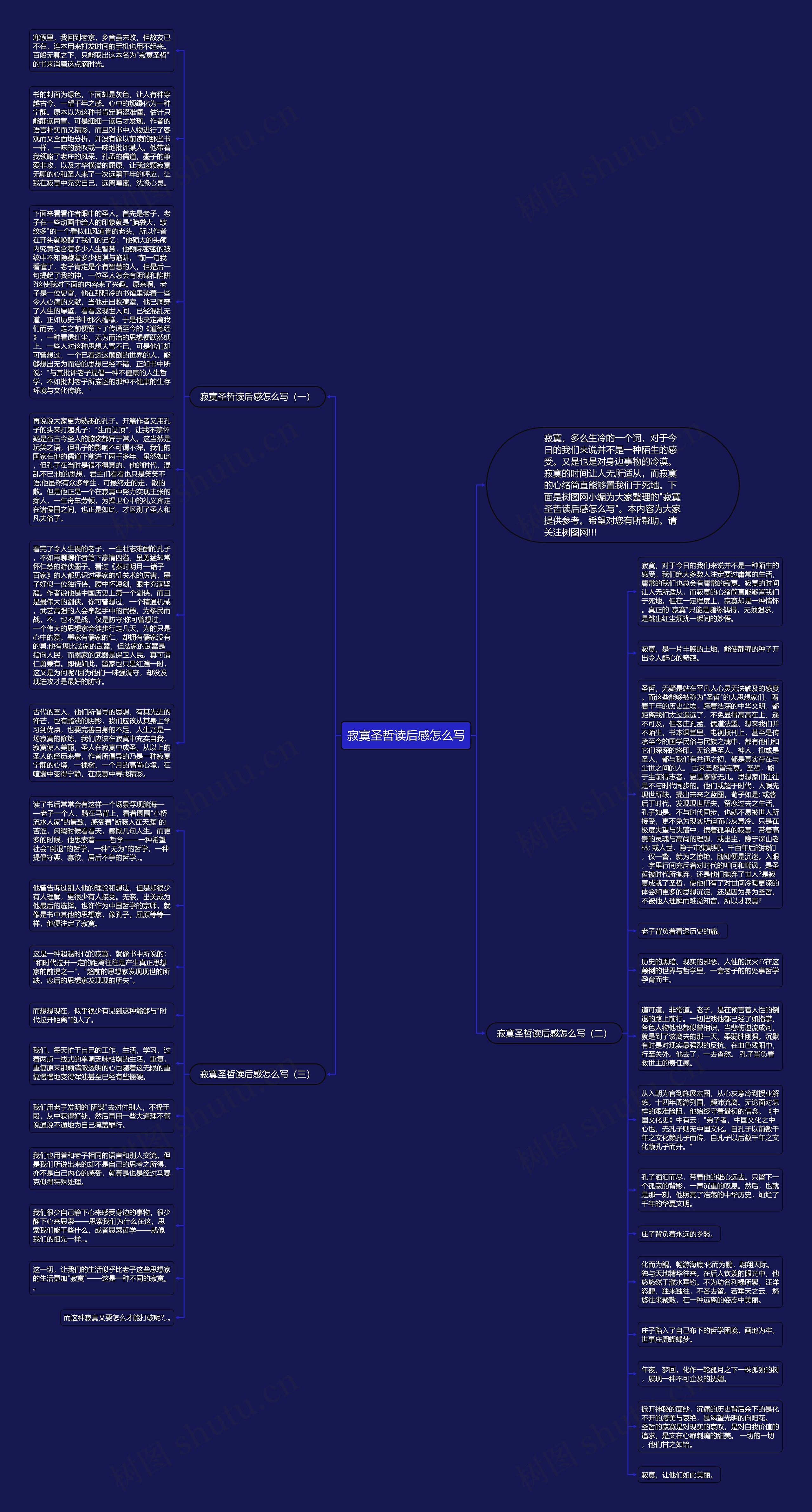 寂寞圣哲读后感怎么写思维导图