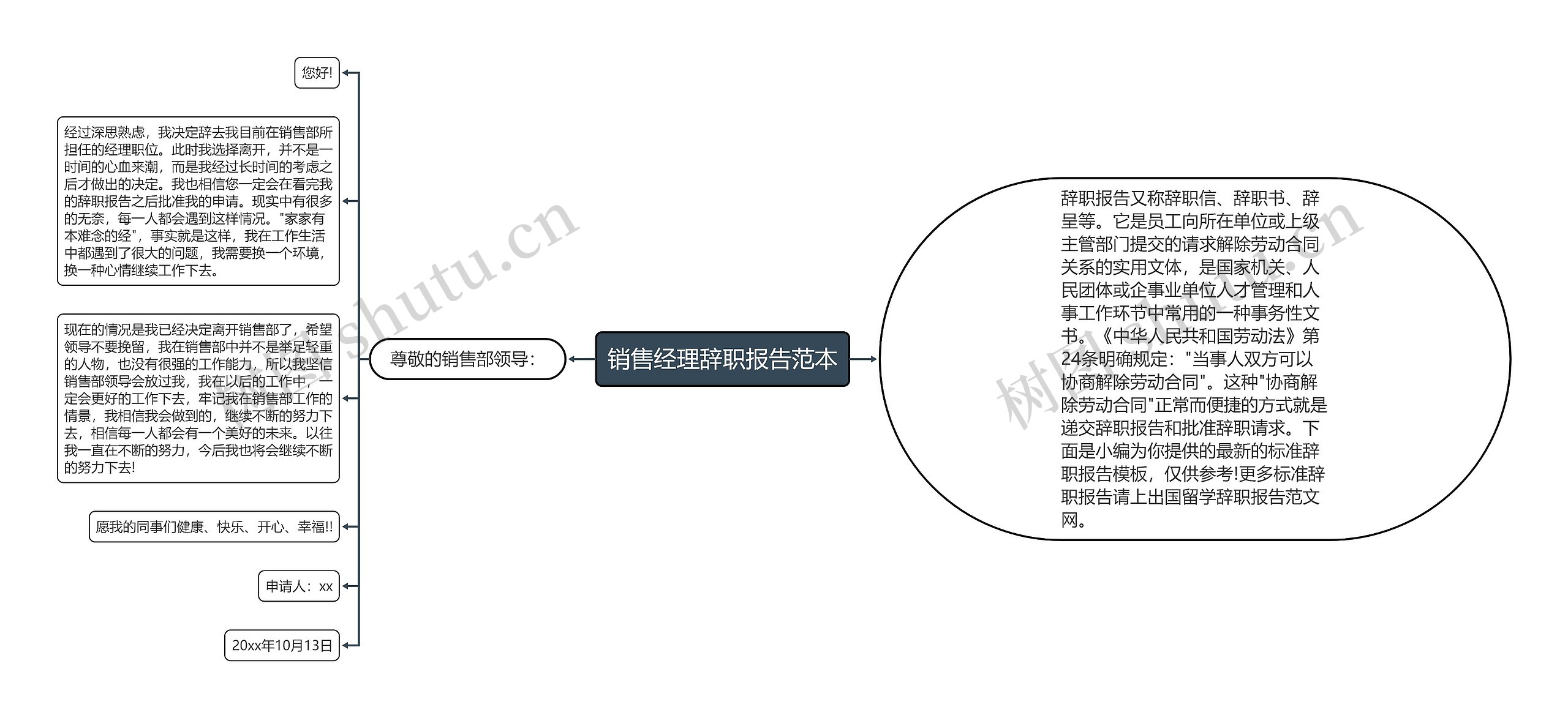 销售经理辞职报告范本